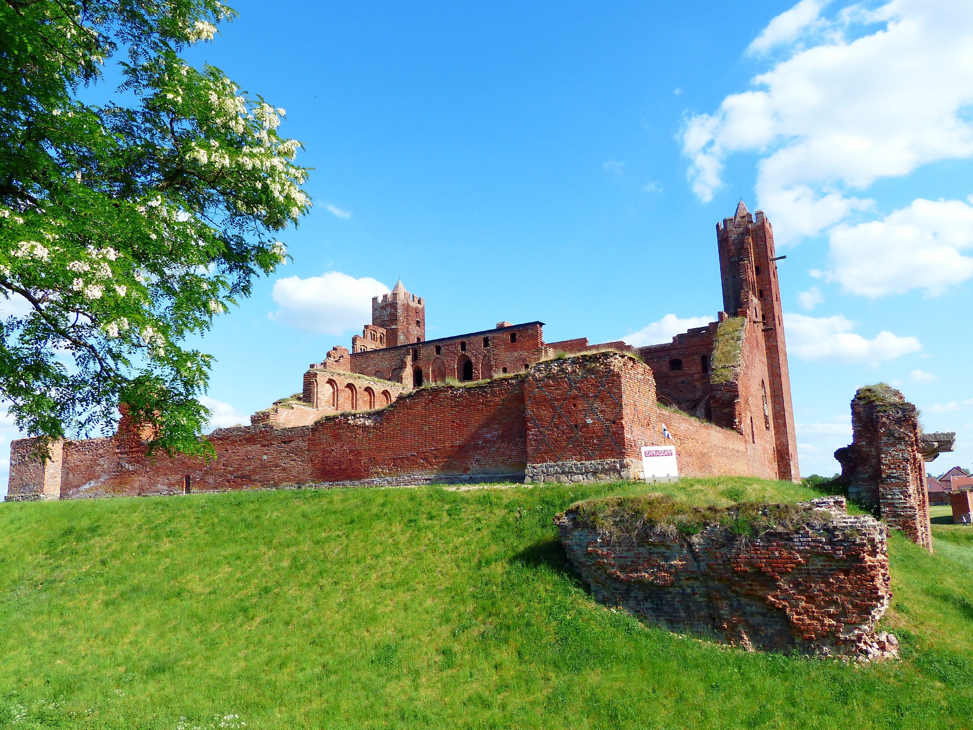 radzyń chełmiński, castle, tree, built structure, stone wall, tower, damaged, cloud - sky, stone, the palace, at the court of, outdoors, poland, the gothic, HD Wallpaper