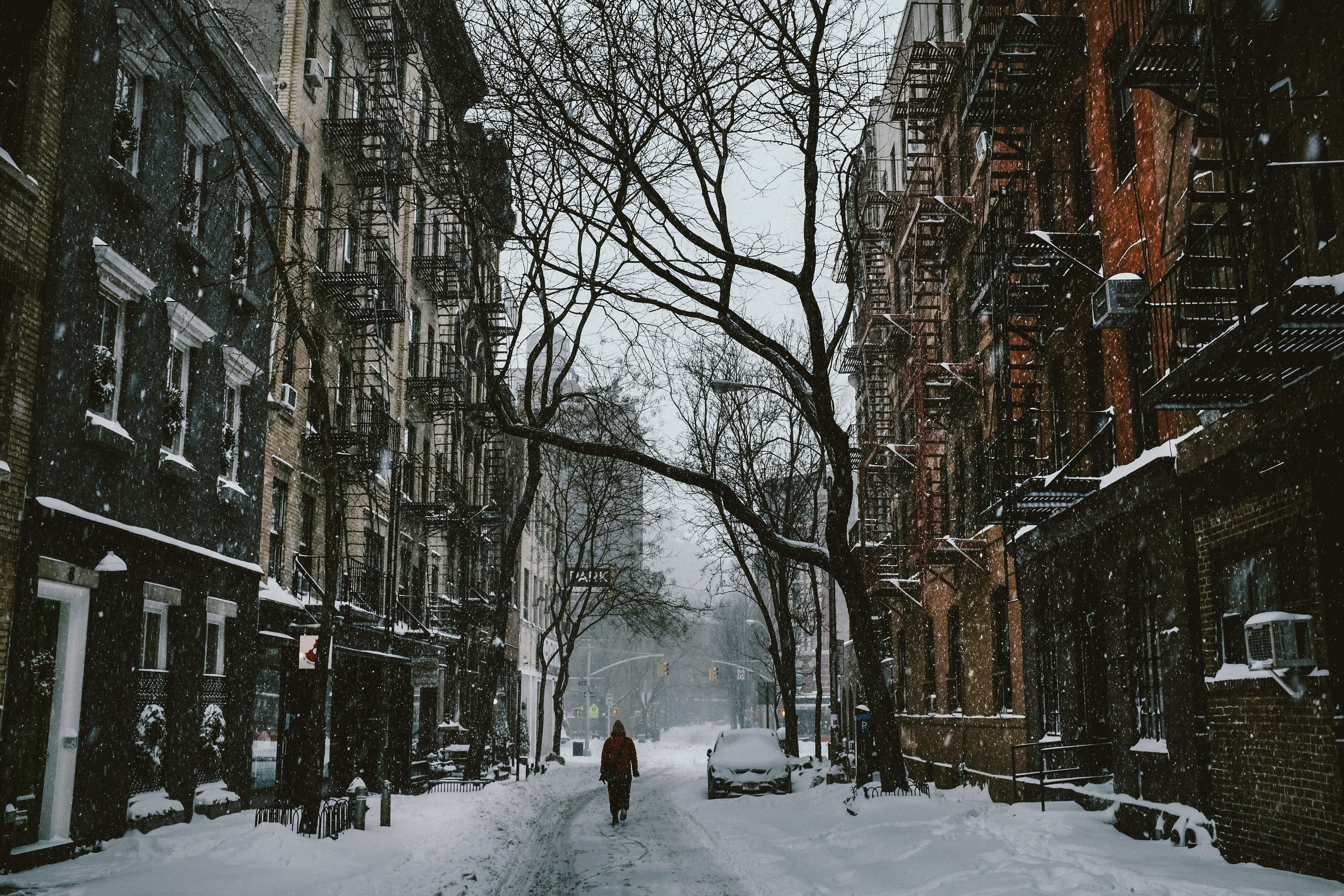 buildings, building exterior, concrete, trees, snowing, extreme weather, nature, outdoors, near, road, snow, parked, 4K, bare, building, plant, warm clothing, HD Wallpaper