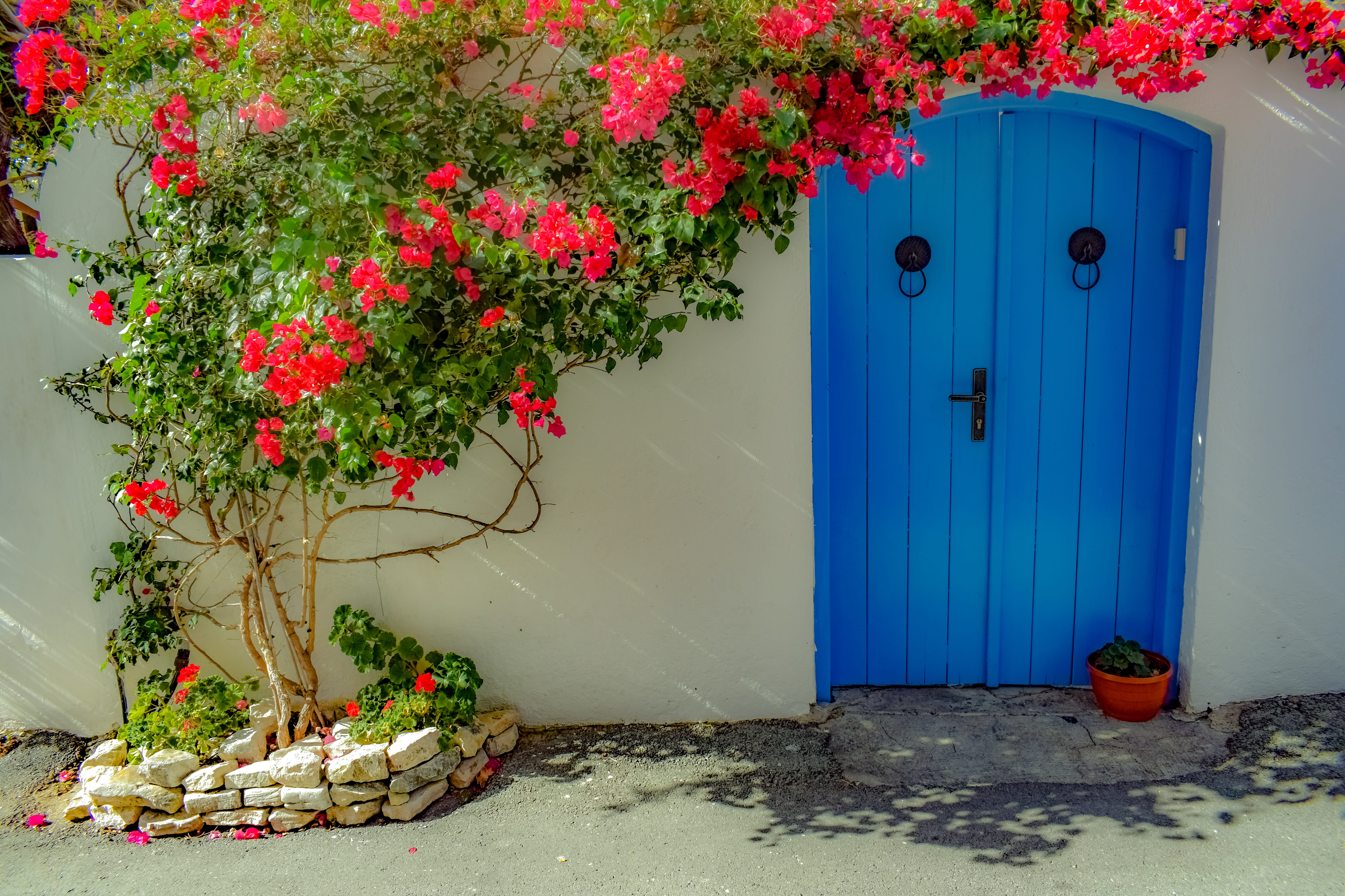 day, 5K, red, building, growth, nature, facade, outdoors, no people, blue, freshness, doorway, beauty in nature, old, house, entrance, built structure, HD Wallpaper