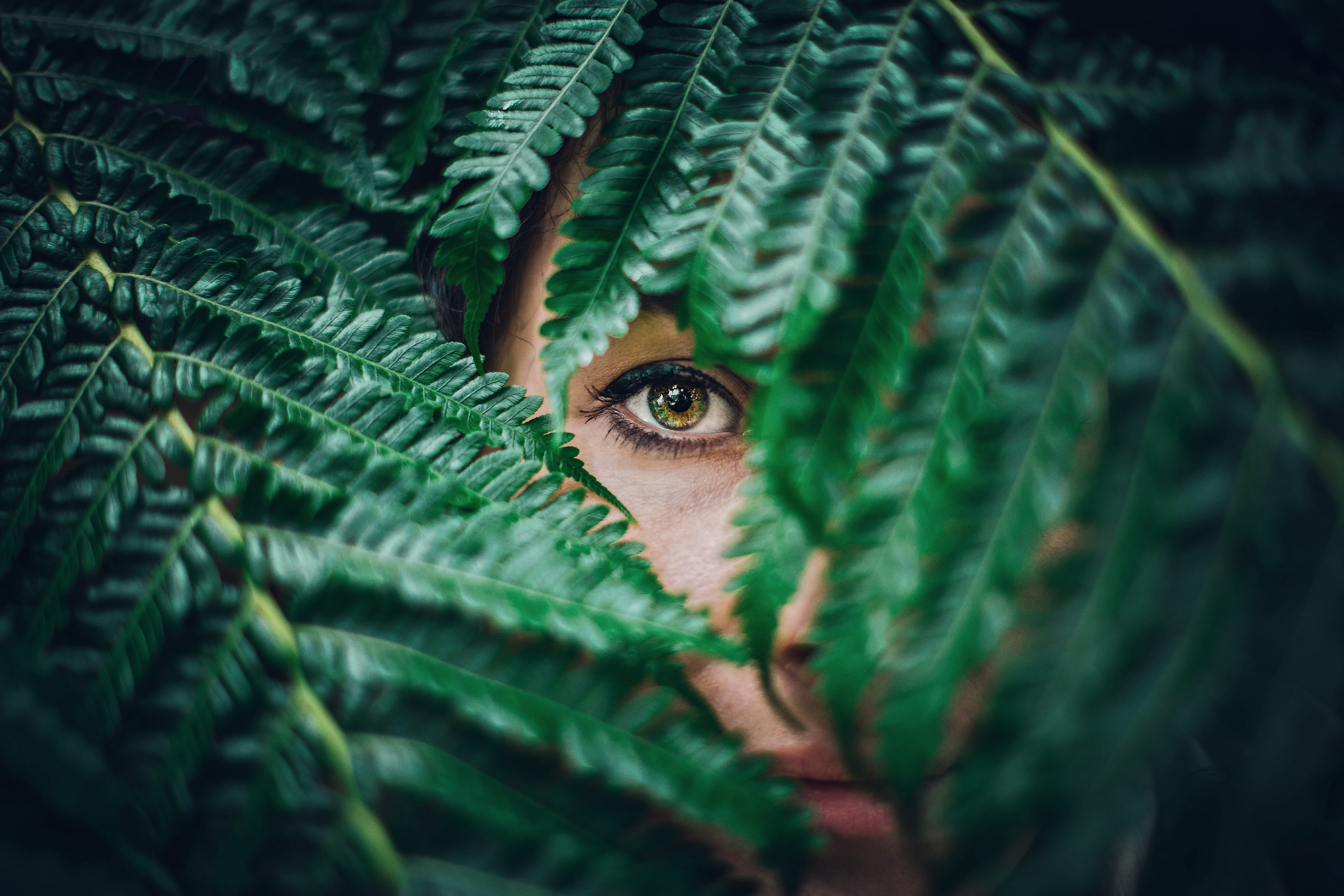 human eye, eye, plant part, leaves, person, human body part, s, covered, plant, leaf, portrait, hiding, 5K, green color, nature, men, tree, selective focus, HD Wallpaper