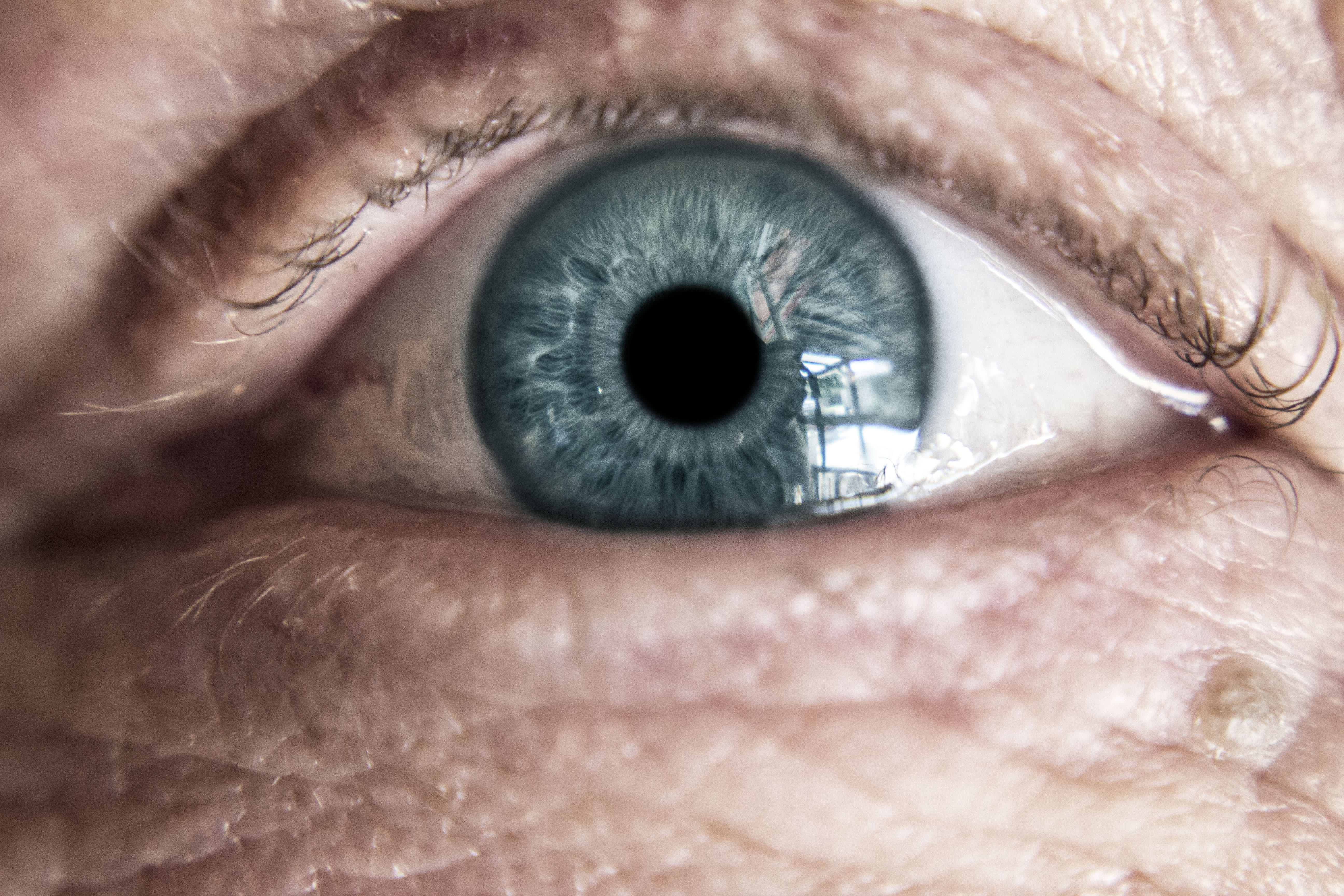 extreme close-up, eyesight, skin, hair, close-up, blue eyes, human body part, macro, photography, eyeball, human eye, eyelash, human face, portrait, 5K, HD Wallpaper
