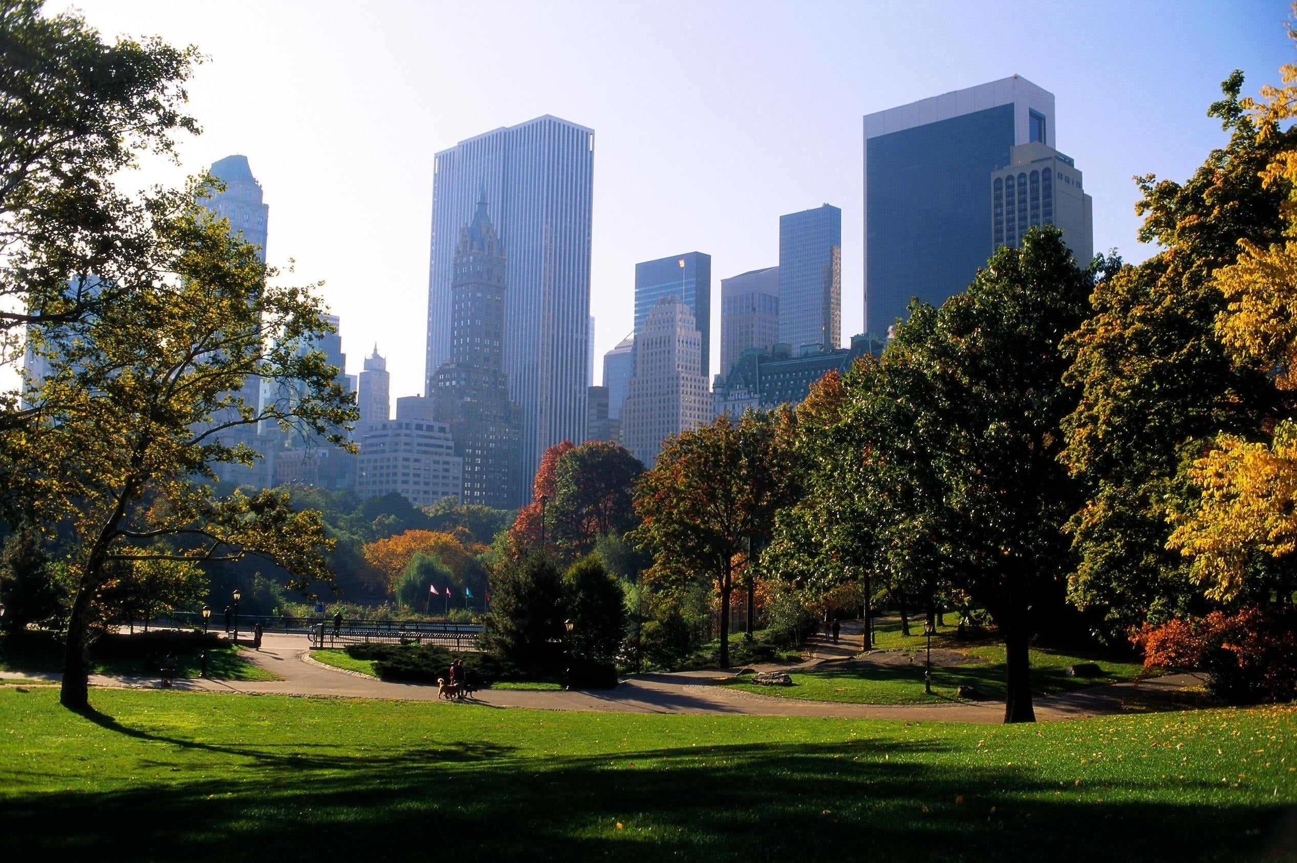 office building exterior, city Life, city, outdoors, architecture, downtown District, tower, manhattan - New York City, no People, trees, grass, leafed, HD Wallpaper