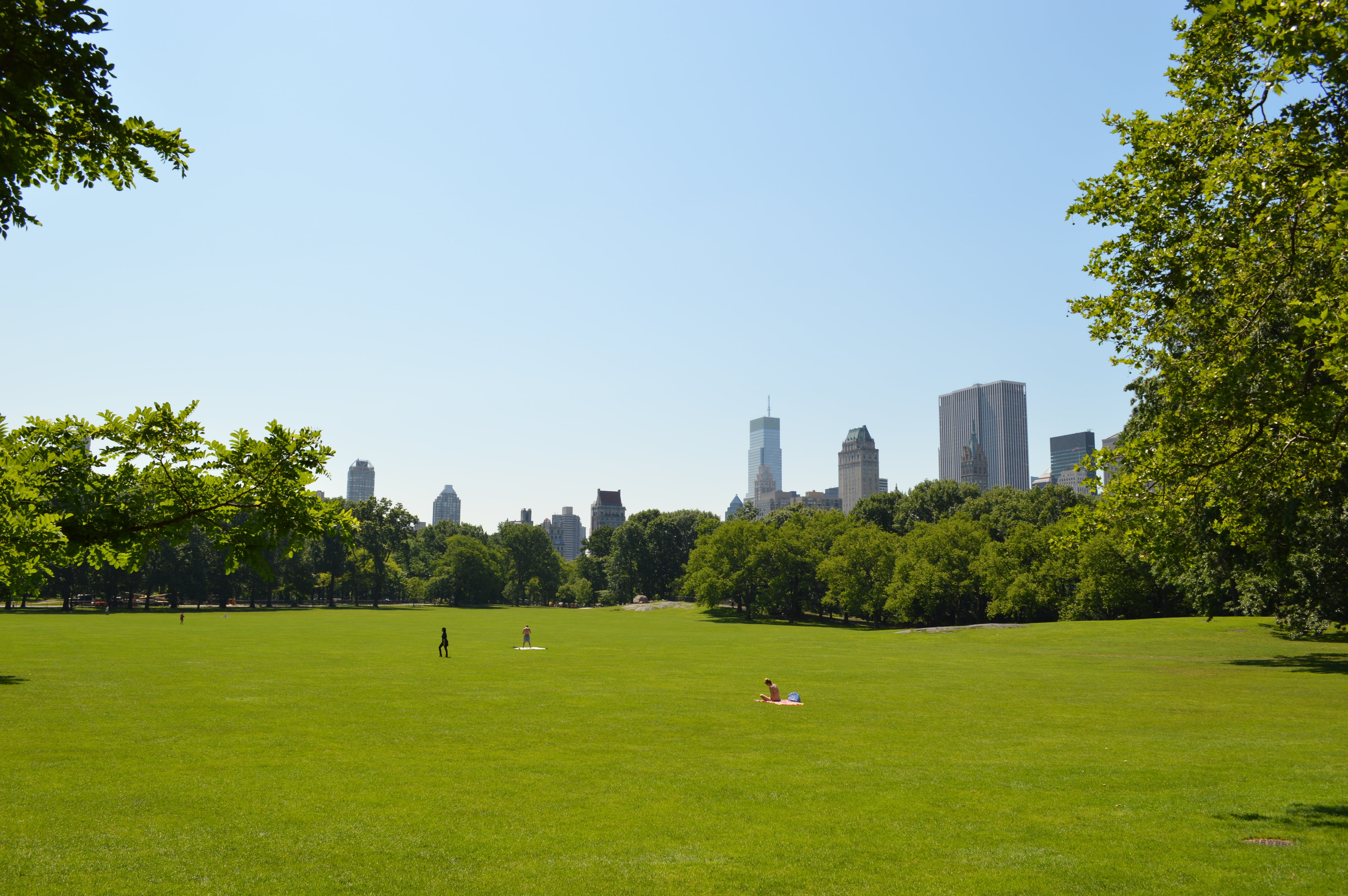 new york, city, outdoors, modern, blue, office building exterior, green color, skyscraper, architecture, built structure, sunlight, central park, park - man made space, HD Wallpaper