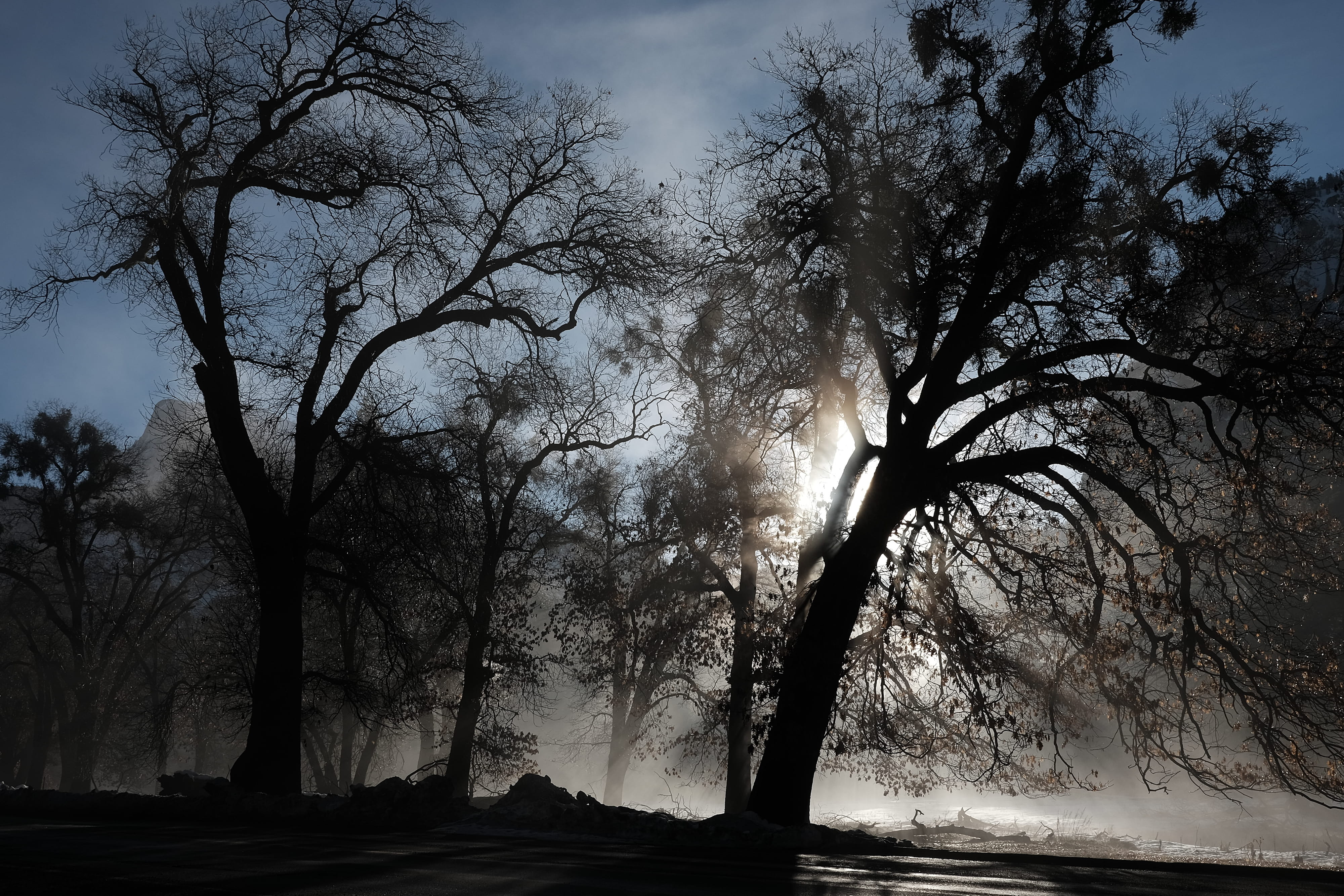 low angle view, land, winter, no people, outdoors, tree trunk, plant, tree, united states, beauty in nature, trunk, trees, sky, scenics - nature, yosemite valley, HD Wallpaper