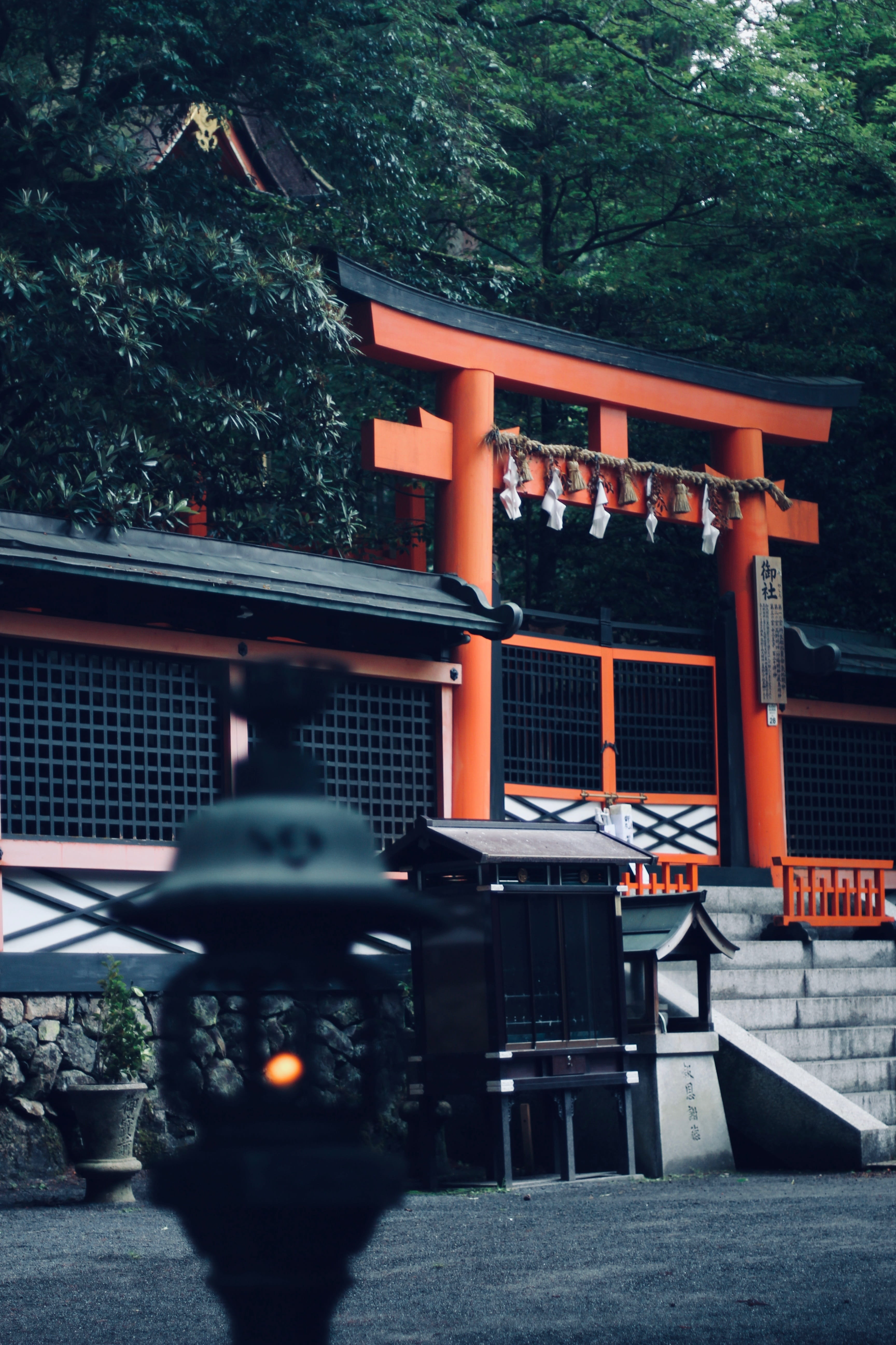 no people, tree, shrine, shinto, religion, travel, japan, spirituality, travel destinations, building exterior, built structure, building, 5K, gate, nature, Phone HD Wallpaper