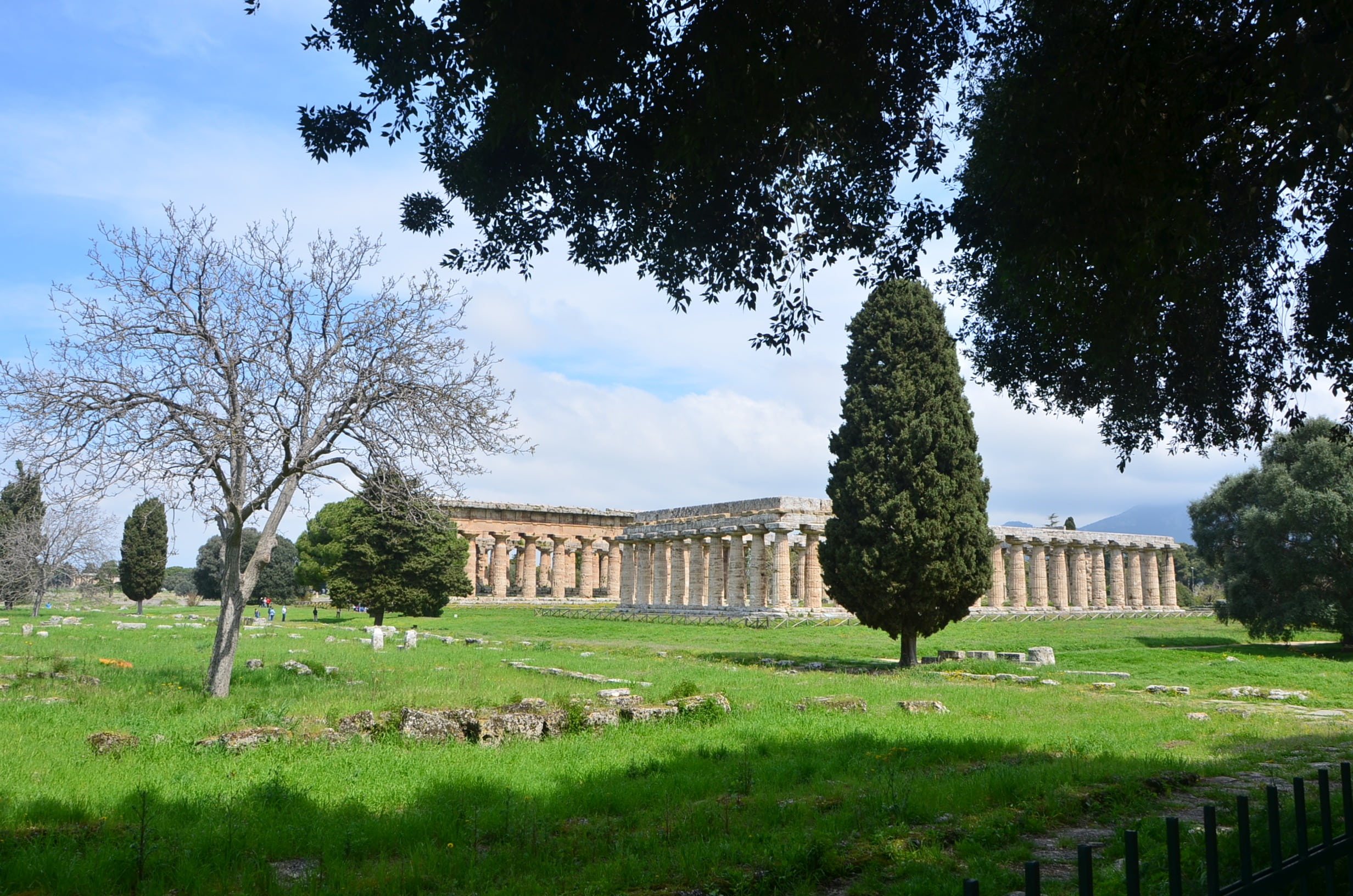 hedge, travel destinations, sky, monument, outdoors, europe, tree, field, growth, the past, cloud - sky, plant, built structure, grass, paestum, temples, HD Wallpaper
