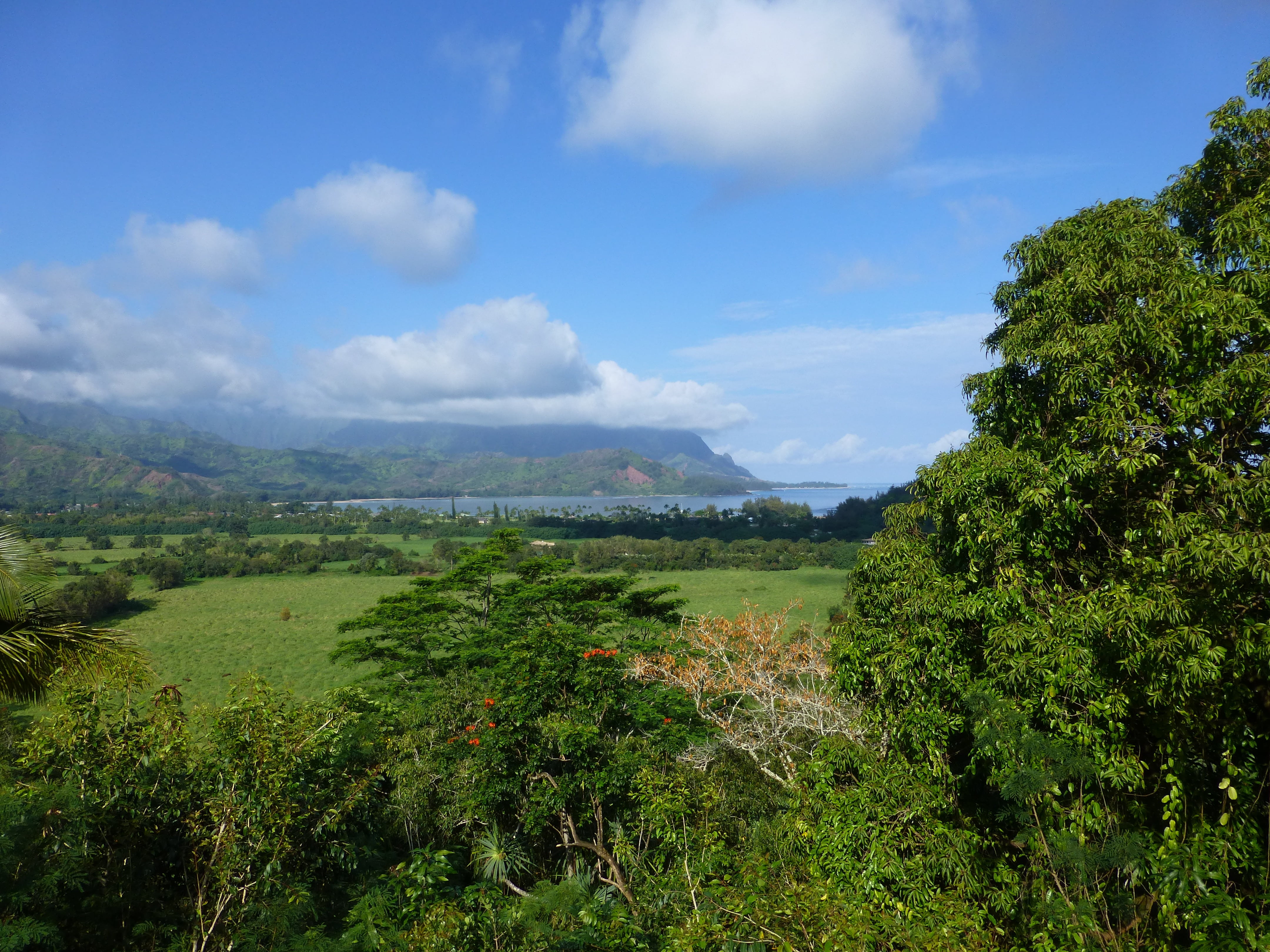 environment, 4K, road, countryside, land, idyllic, outdoors, vista, cloud - sky, hanalei, farm, tranquil scene, kauai, sky, scenic, mountain, tranquility, HD Wallpaper