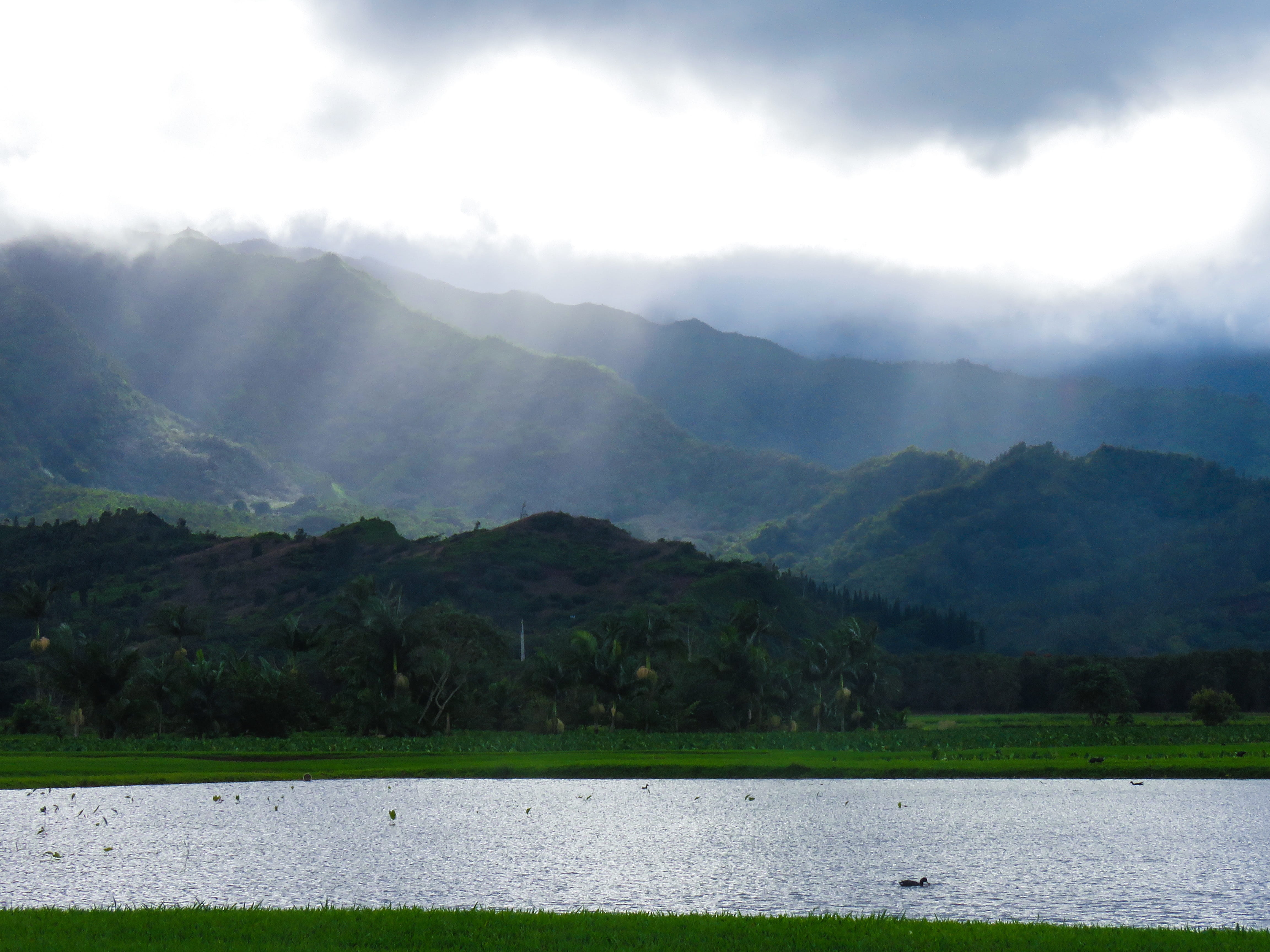 mountains, outdoors, kauai, no people, tranquility, 4K, hanalei, sky, landscape, mountain, beauty in nature, hanalei pond, day, tranquil scene, scenics - nature, HD Wallpaper