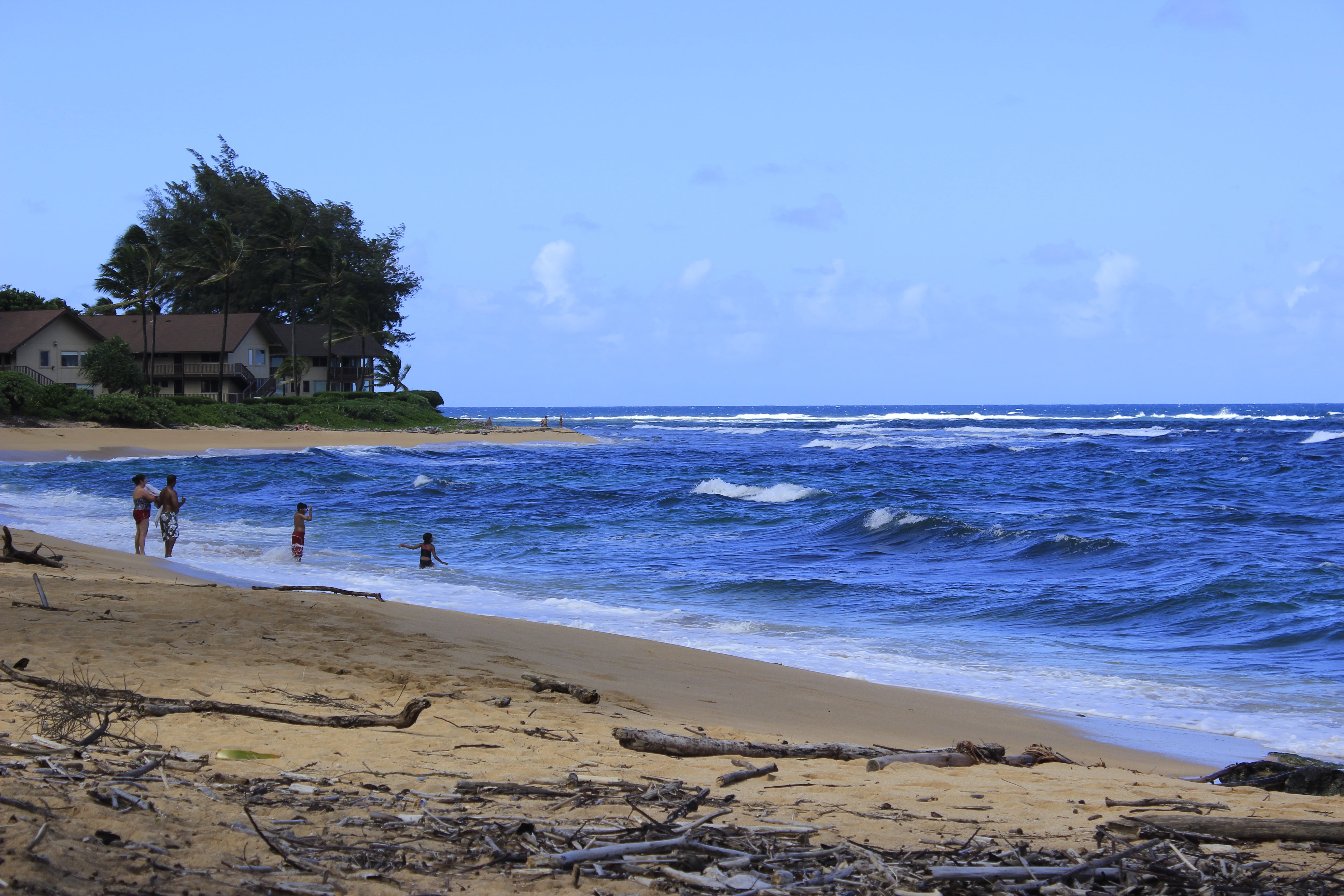 tree, horizon over water, land, horizon, built structure, hawaii, tranquil scene, sand, sky, waves, nature, ocean, architecture, hanalei, building exterior, HD Wallpaper