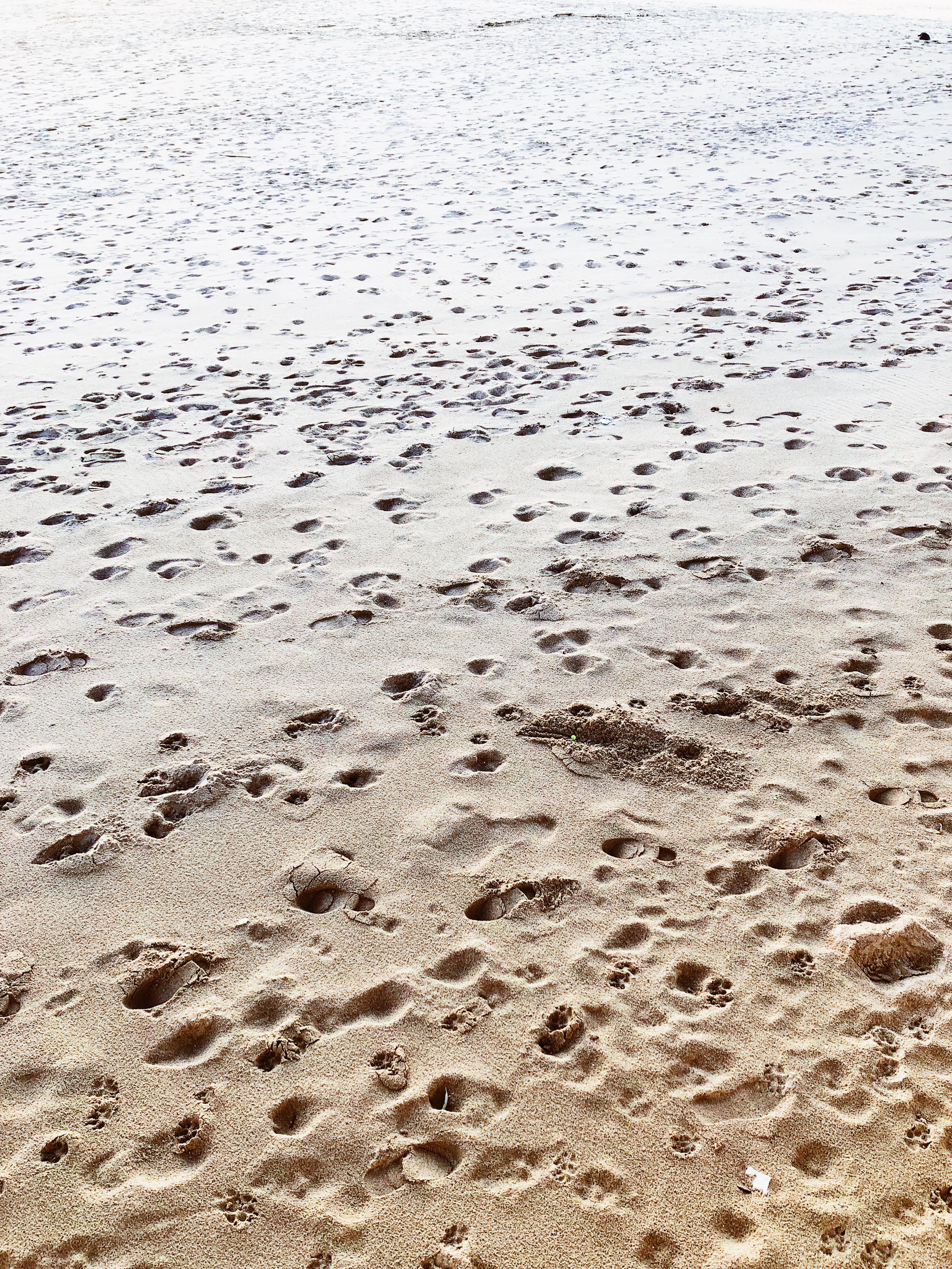 sand, pegadas, backgrounds, day, nature, full frame, no people, tranquility, water, print, summer, land, animal, verão, colares, 4K, footprints, abstract, Phone HD Wallpaper