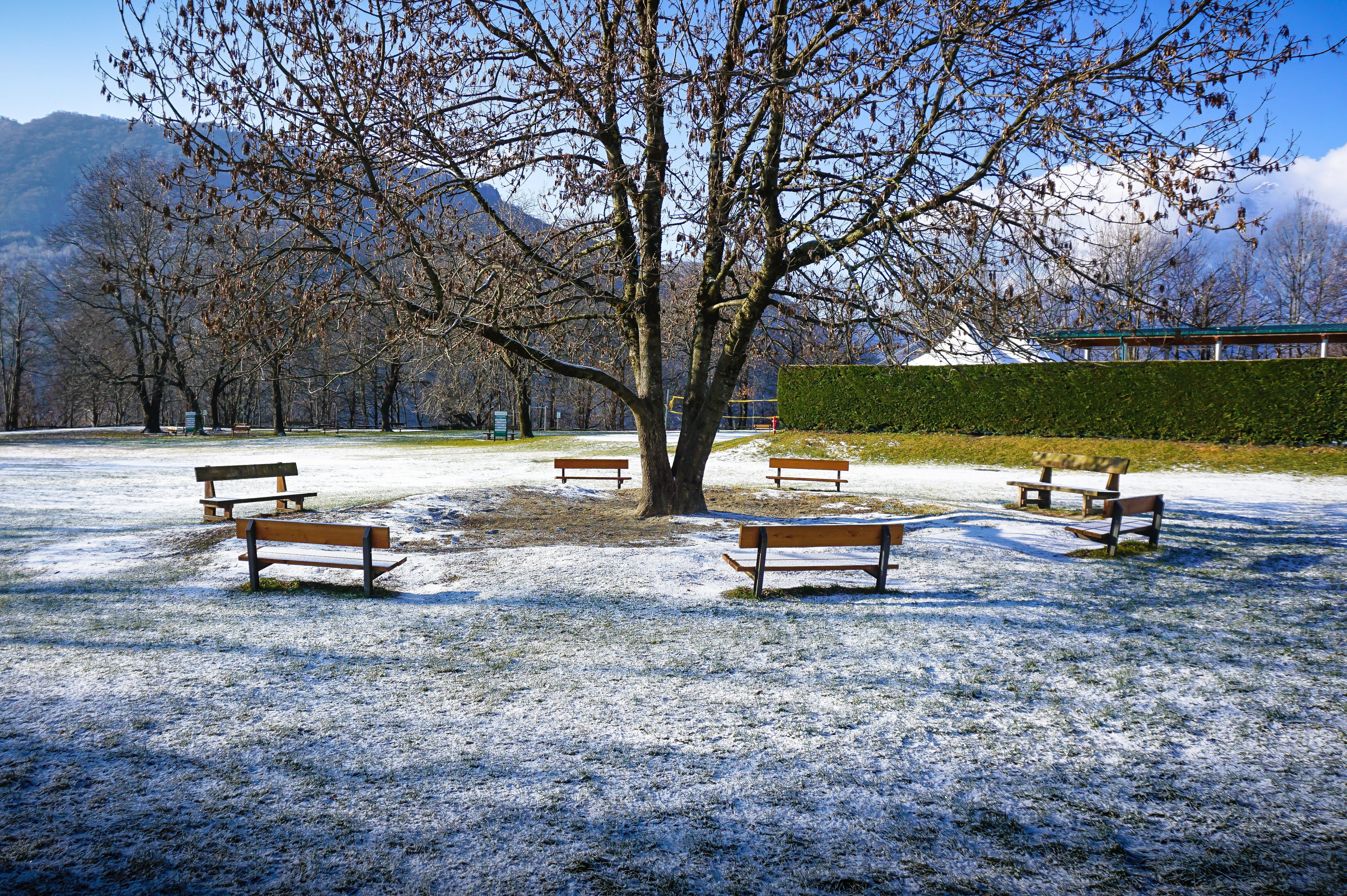 relaxation, outdoor, plant, mountain, cassina valsassina, outdoors, cold, beauty in nature, picnic table, tree, seat, scenics - nature, nature, day, bench, HD Wallpaper