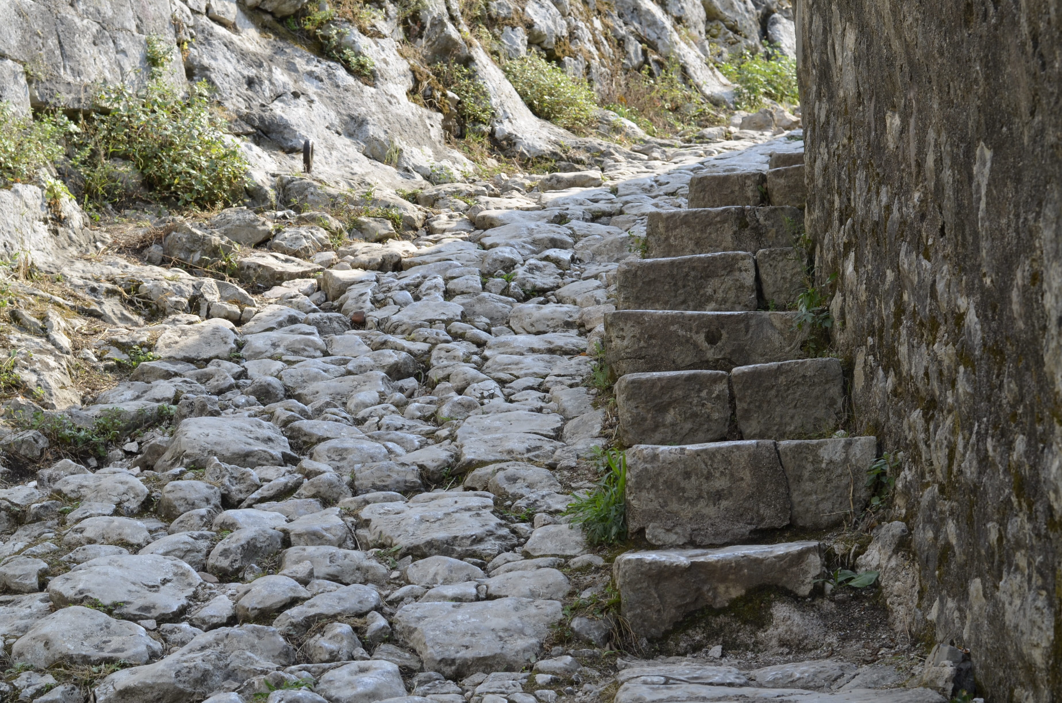 day, adriatic, sea, ruined, the past, stage, ancient civilization, solid, stone wall, built structure, outdoors, steps and staircases, the way forward, HD Wallpaper