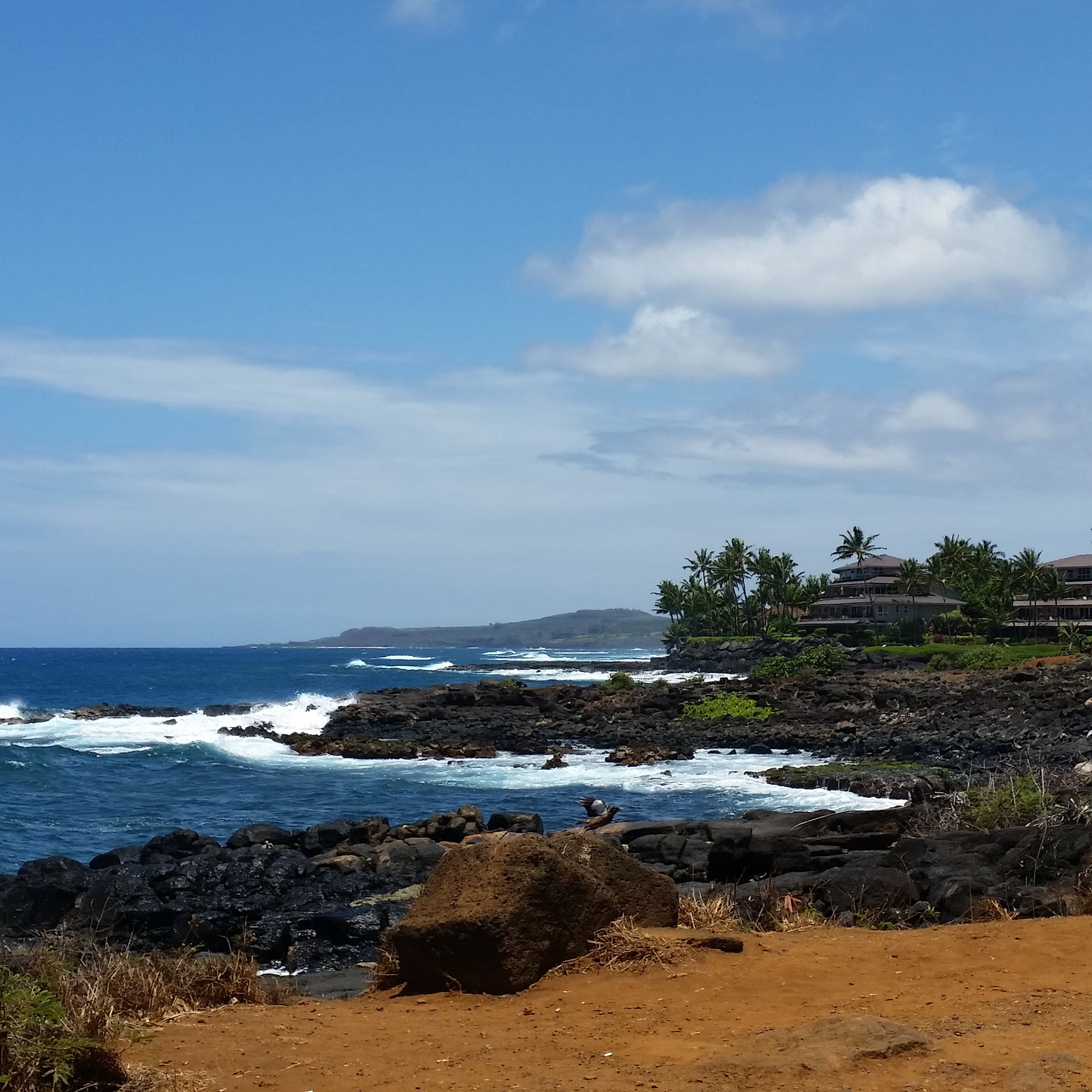 rock - object, sea, plant, hawaii life, nature, tranquility, land, summer, tropical, kauai life, sky, relax, outdoors, rock, water, tranquil scene, horizon over water, Phone HD Wallpaper