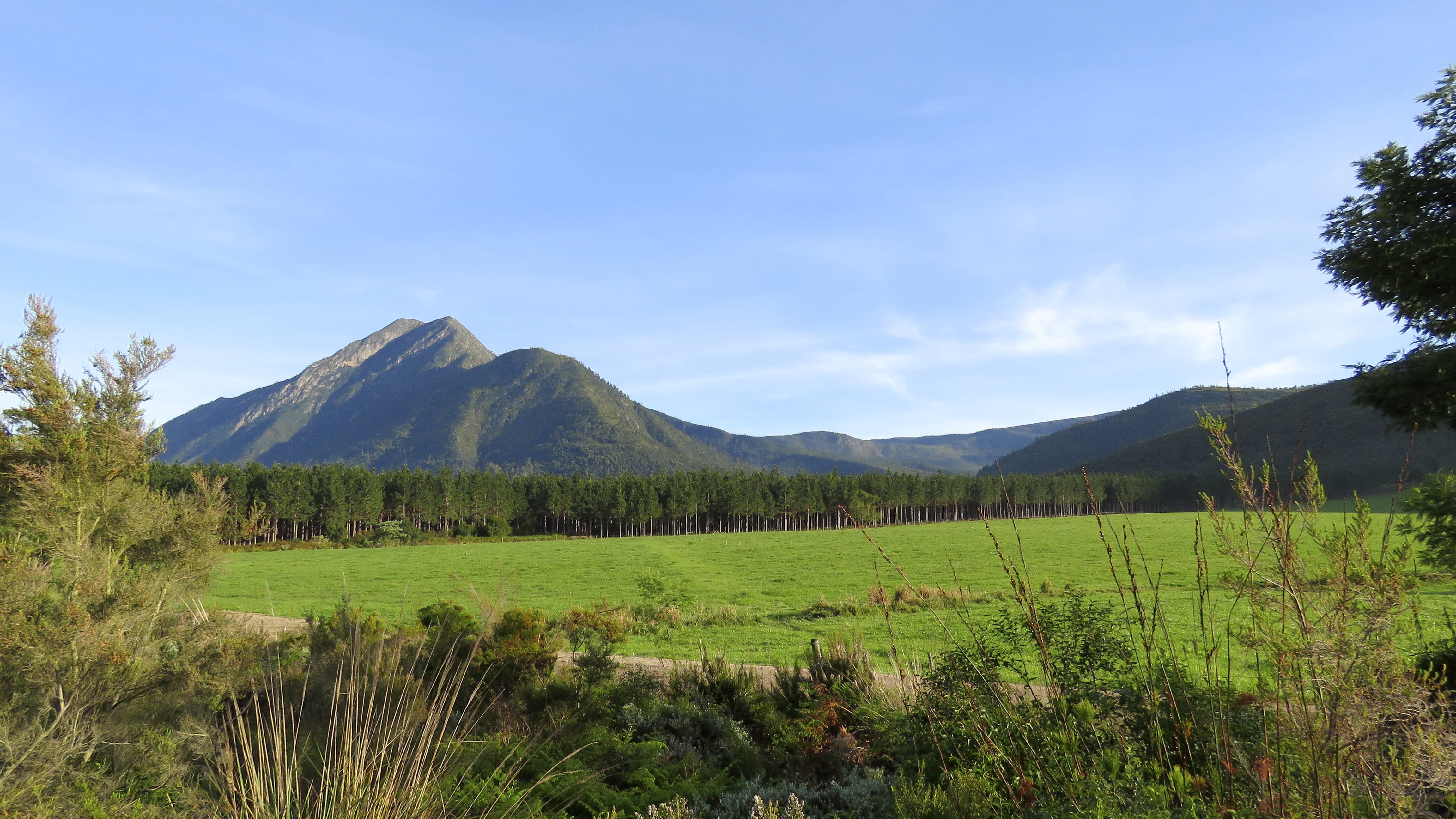 Western Cape, non-urban scene, scenery, South Africa, nature, Tsitsikamma, tranquility, scenics, beautiful landscapes, wild, day, field, green, beauty in nature, HD Wallpaper