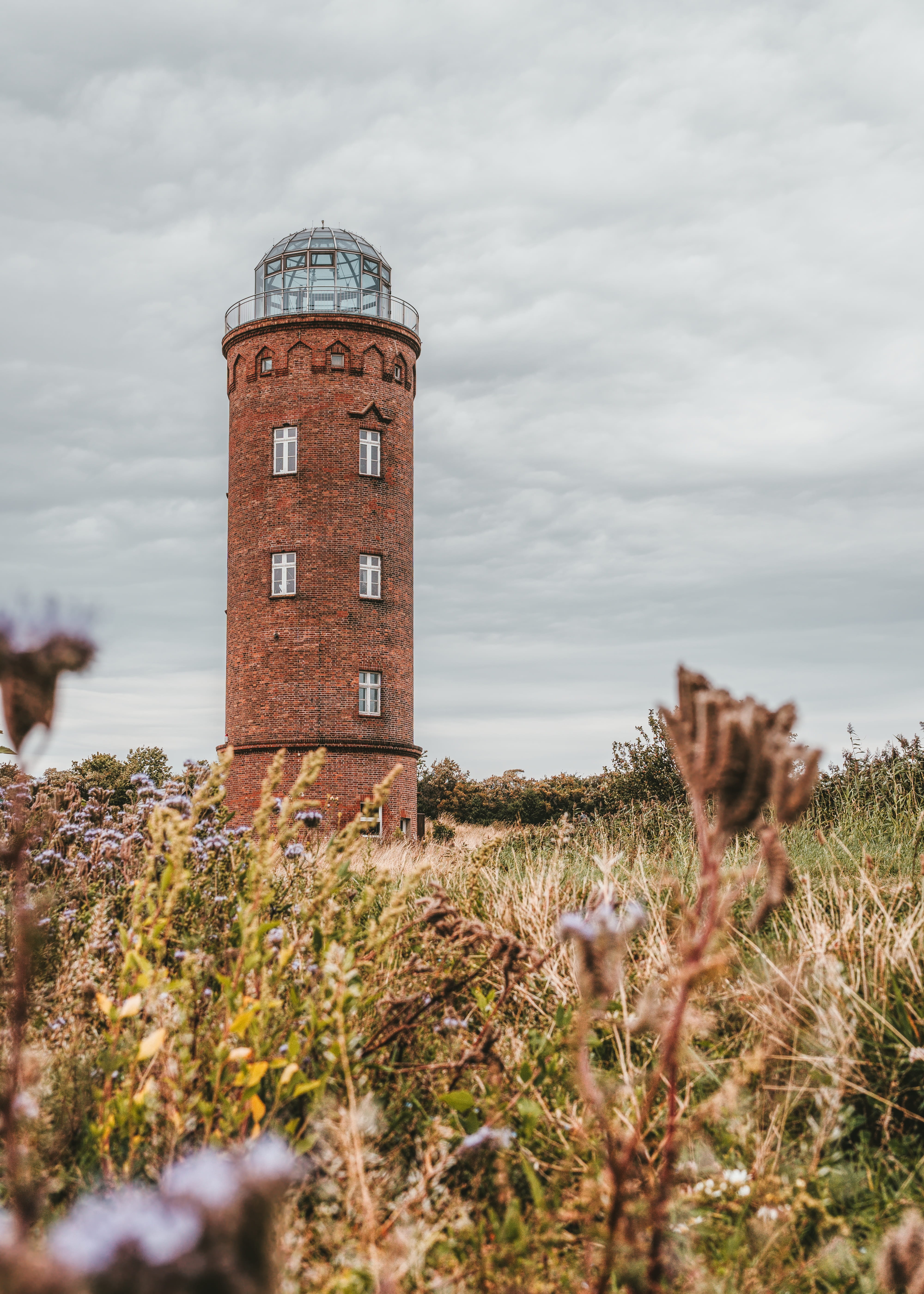 plant, coast, landscape, selective focus, land, brick, cape arkona, history, vacations, sky, tower, architecture, building, growth, western pomerania, ruins from, Phone HD Wallpaper