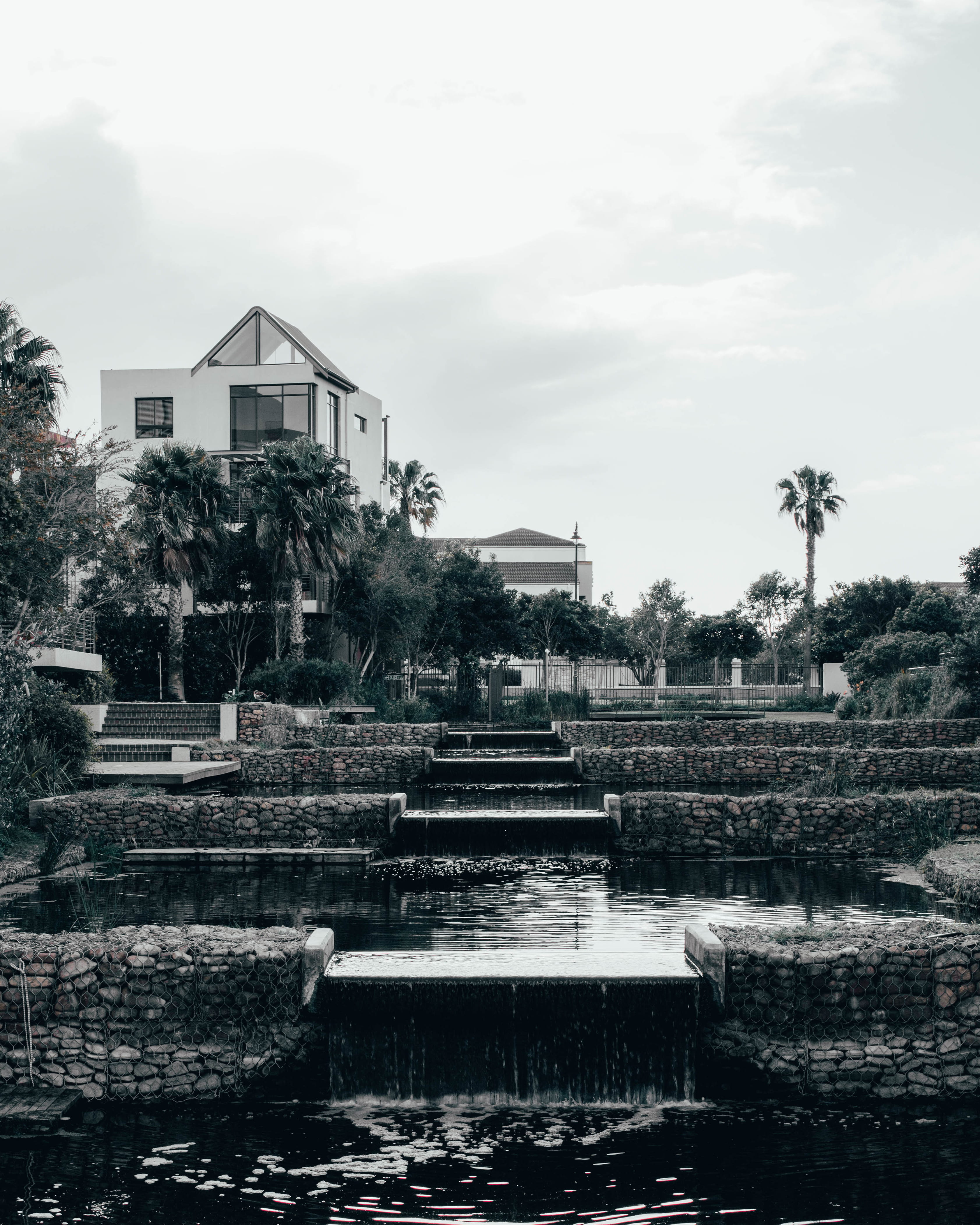 residential district, capetownphotography, tree, outdoor, africa, western cape, plant, picture, explore, solid, photo, outdoors, built structure, cape town, Phone HD Wallpaper