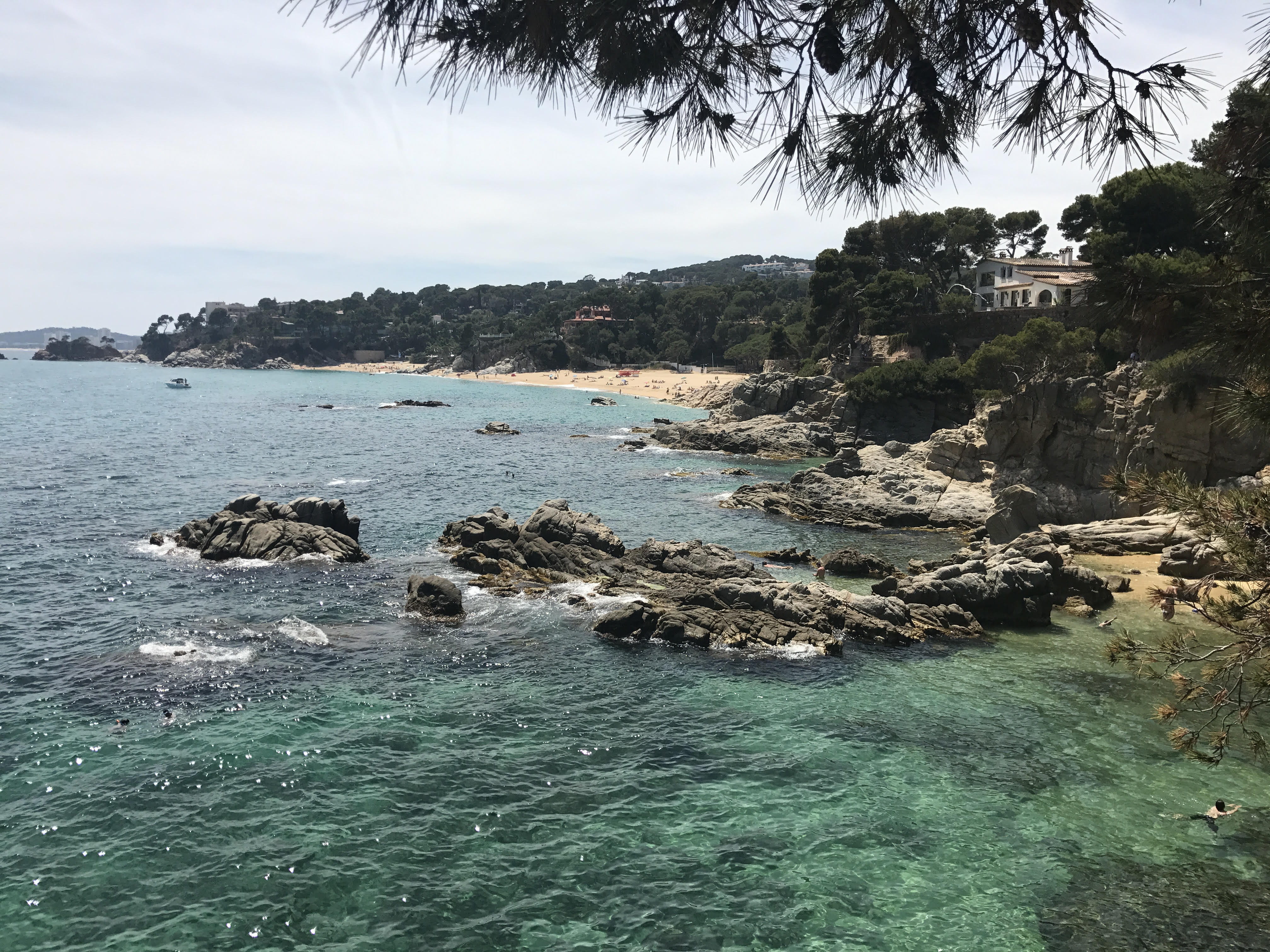 spain, plant, day, sea, no people, land, tree, nature, idyllic, rock formation, tranquility, turquoise colored, tranquil scene, rocky coastline, solid, HD Wallpaper