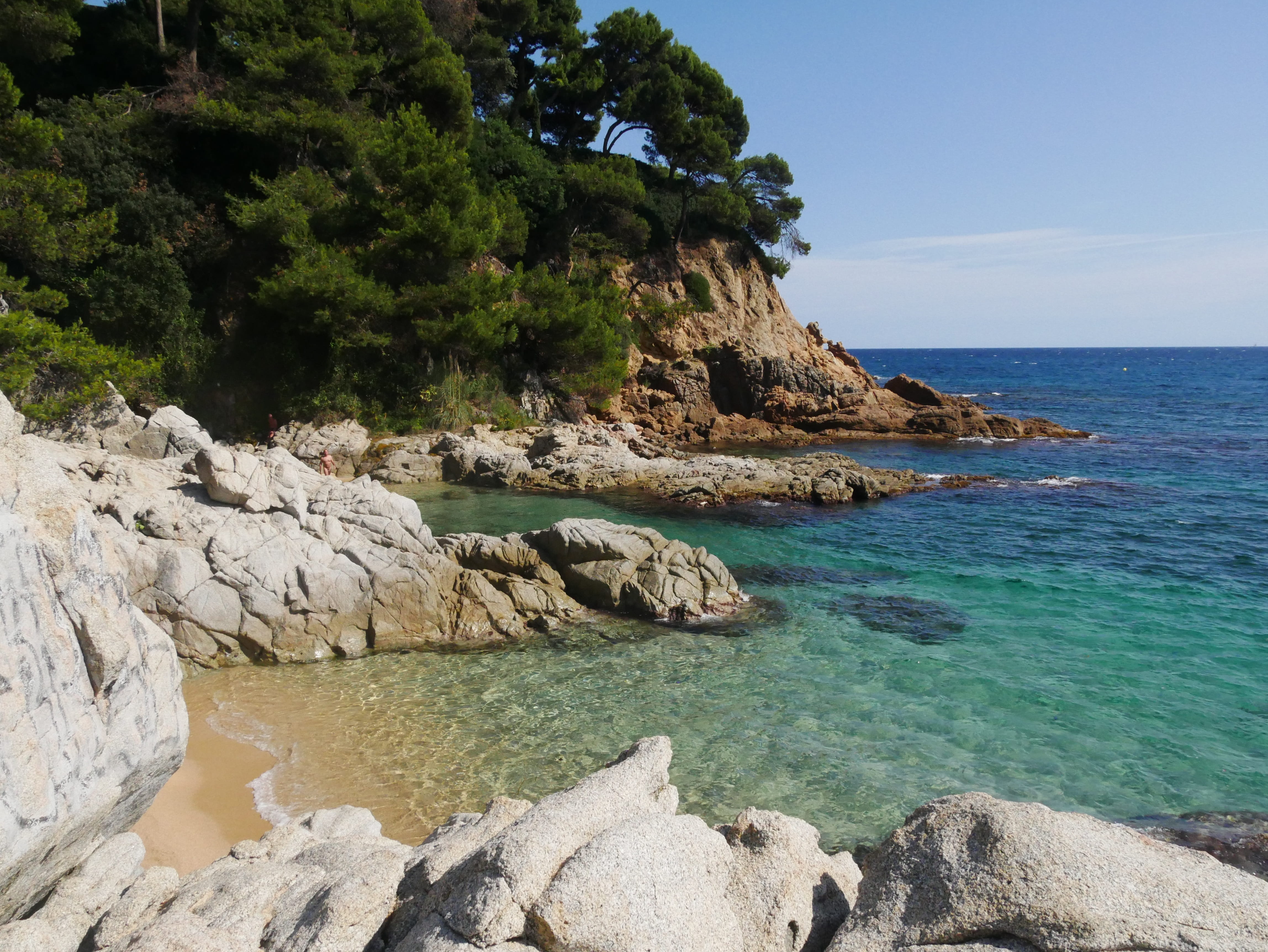 rock, Booked, idyllic, no people, eroded, sea, photography, tree, Costa Brava, landscape, rock - object, nature, Catalonia, land, scenics, rocky coastline, HD Wallpaper