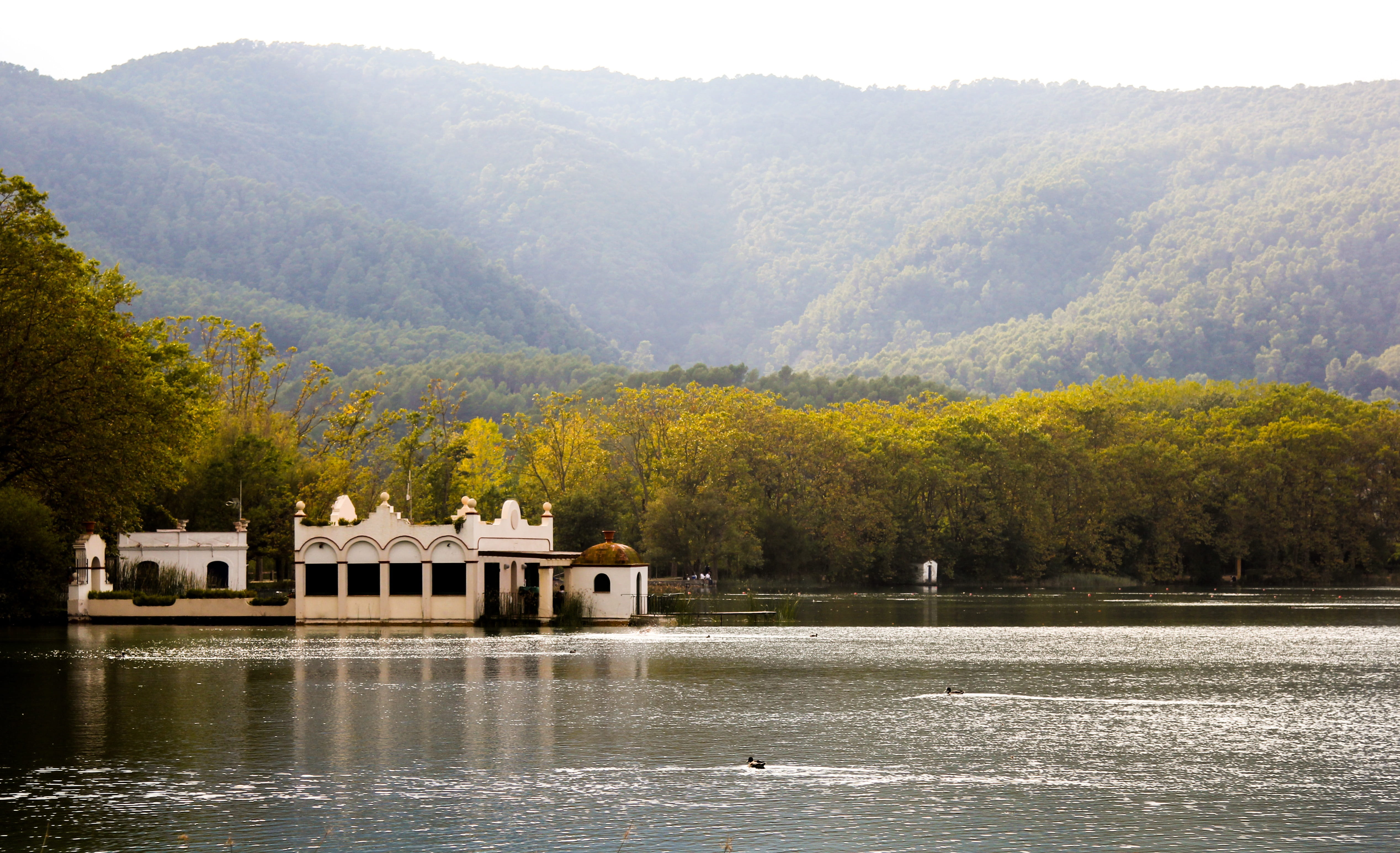 water, Brava, forest, 4K, mountain, non-urban scene, growth, waterfront, scenics, fisherman, plant, building exterior, tree, girona, tranquil scene, architecture, HD Wallpaper
