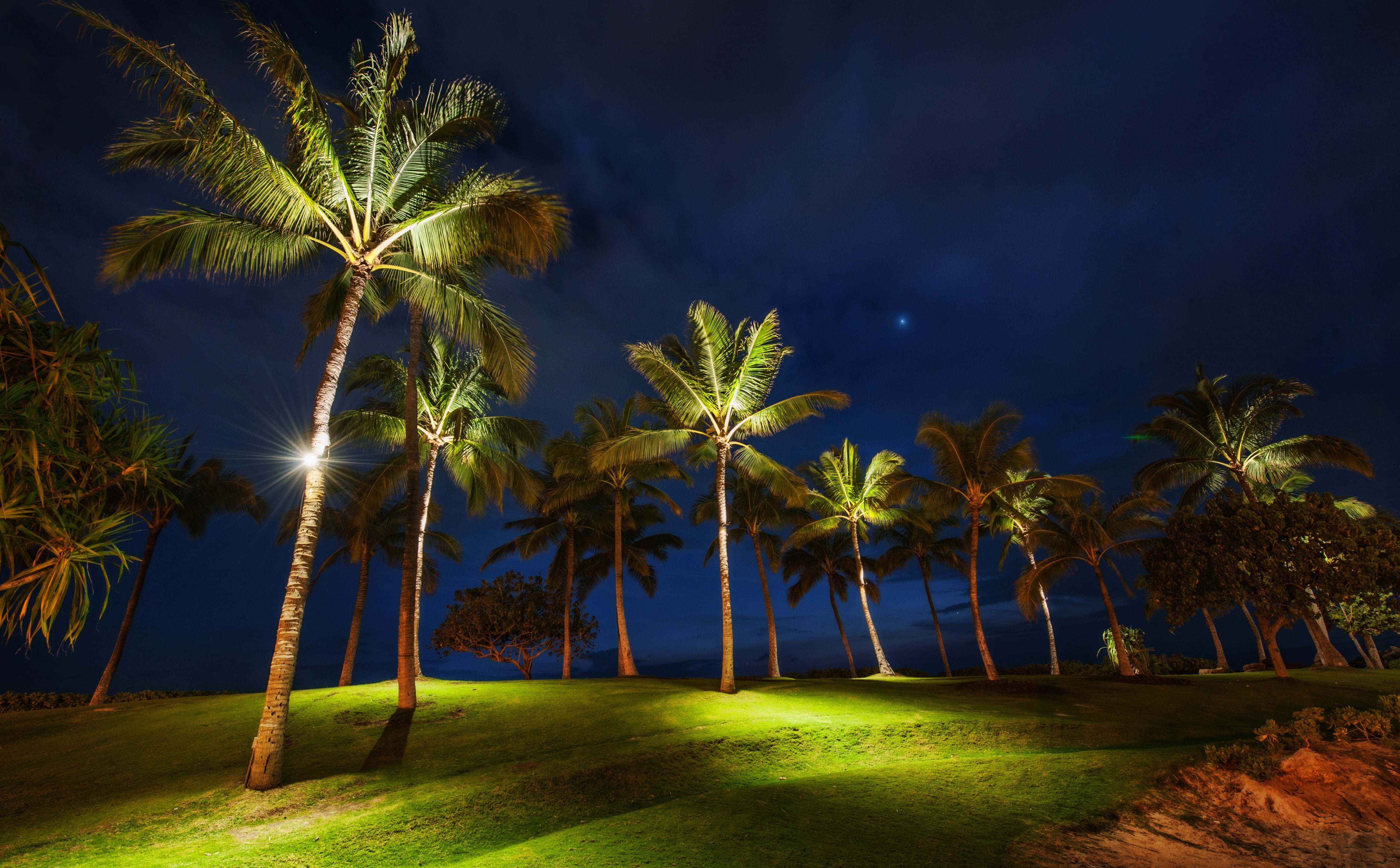 Field, land, tropical tree, illuminated, beauty in nature, Trees, tropical climate, Islands, growth, tranquility, plant, nature, tree, green color, Travel, HD Wallpaper