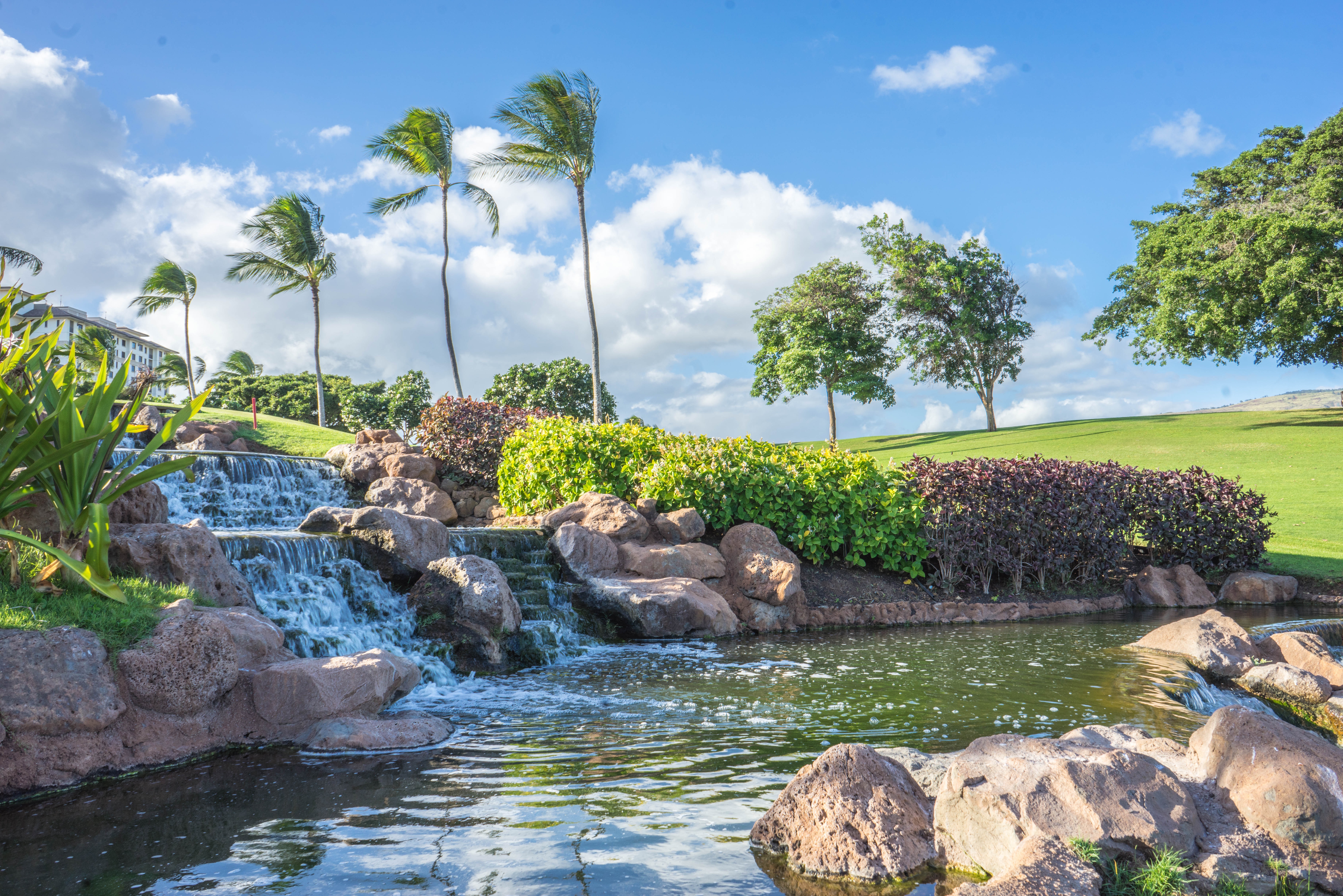 oahu, rock, tree, ko olina, travel, cloud - sky, water, nature, photography, scenics - nature, green color, flowing water, summer, sky, tranquility, hawaii, HD Wallpaper