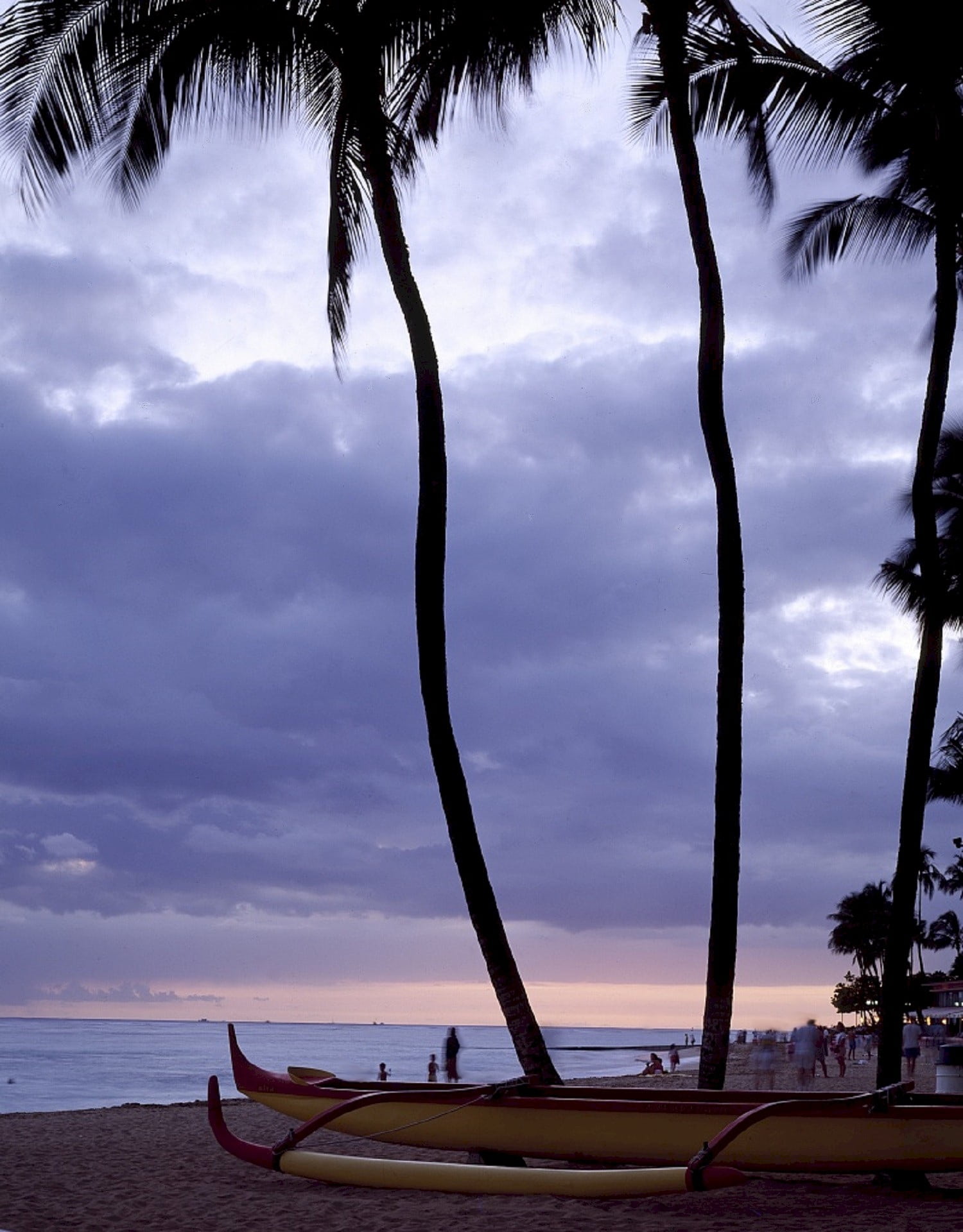 palm trees, usa, silhouettes, tourists, dusk, seascape, land, horizon over water, hawaii, evening, island, nautical vessel, no people, outdoors, 1080P, Phone HD Wallpaper