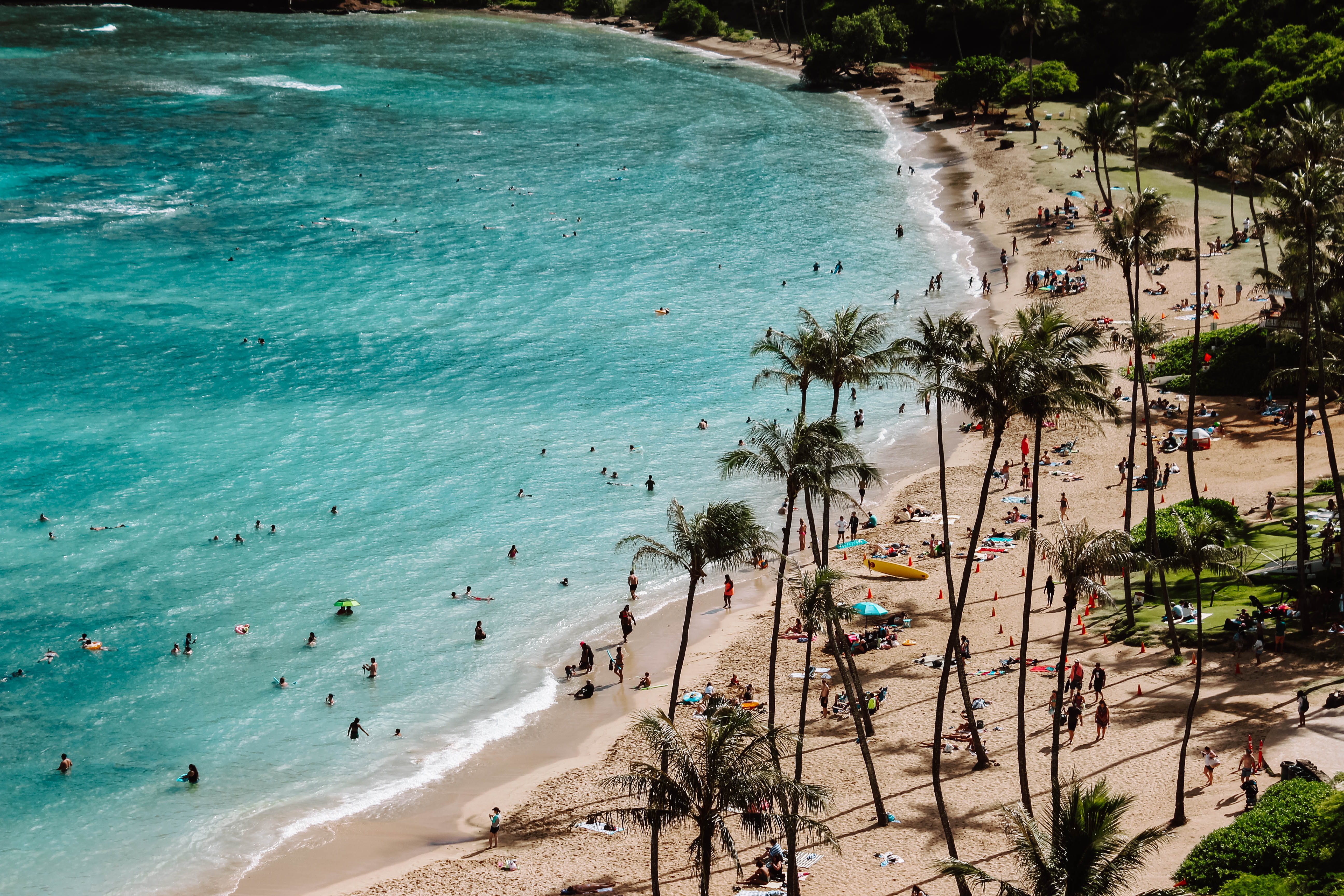 day, united states, arecaceae, sea, nature, trees, panoramic, person, vacations, group, tranquility, summer, sand, beauty in nature, turquoise colored, HD Wallpaper