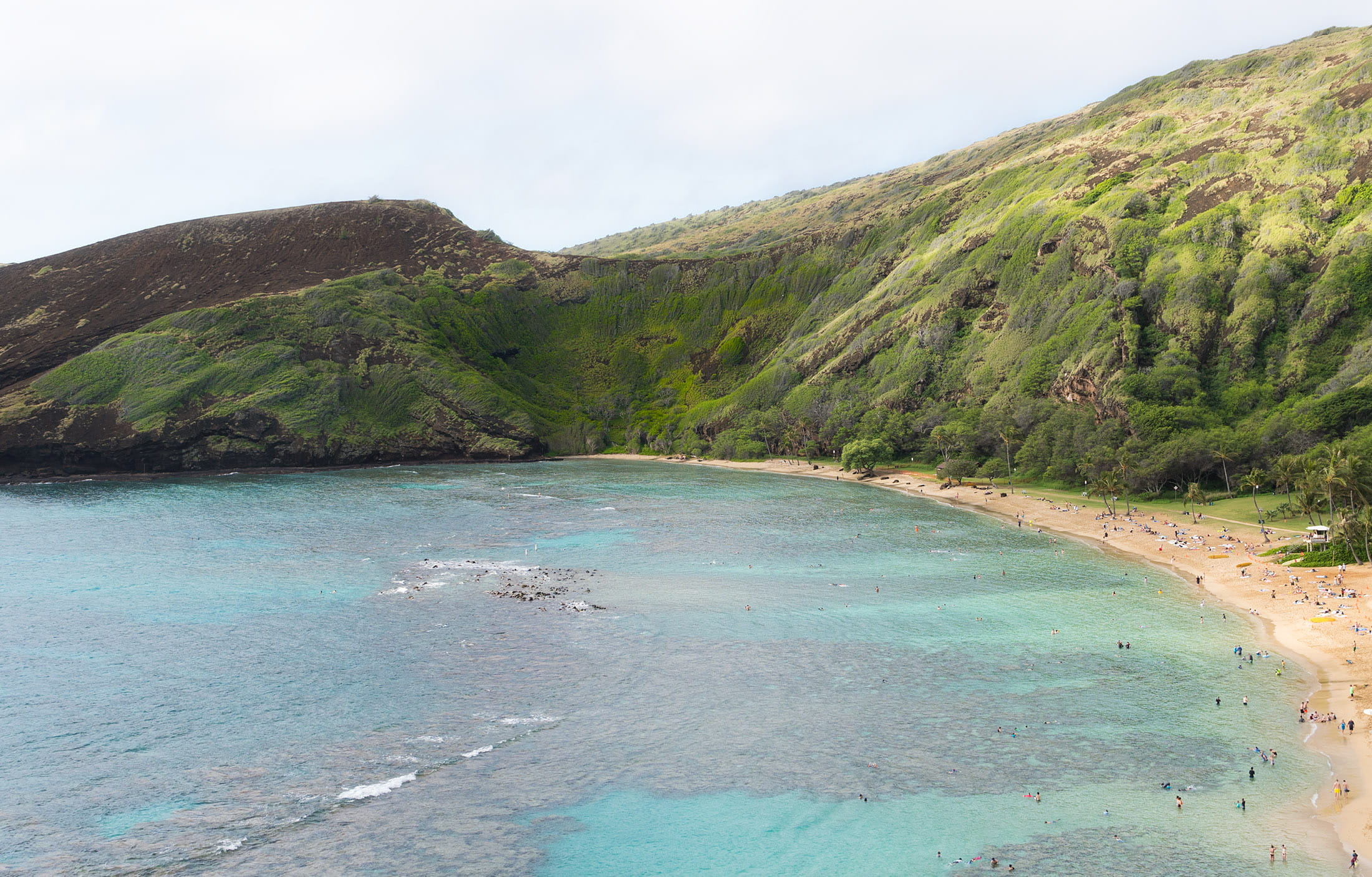 tree, ocean, green, lagoon, beauty in nature, land, sea, green color, environment, hawaii, non-urban scene, water, landscape, sky, tranquil scene, outdoors, HD Wallpaper