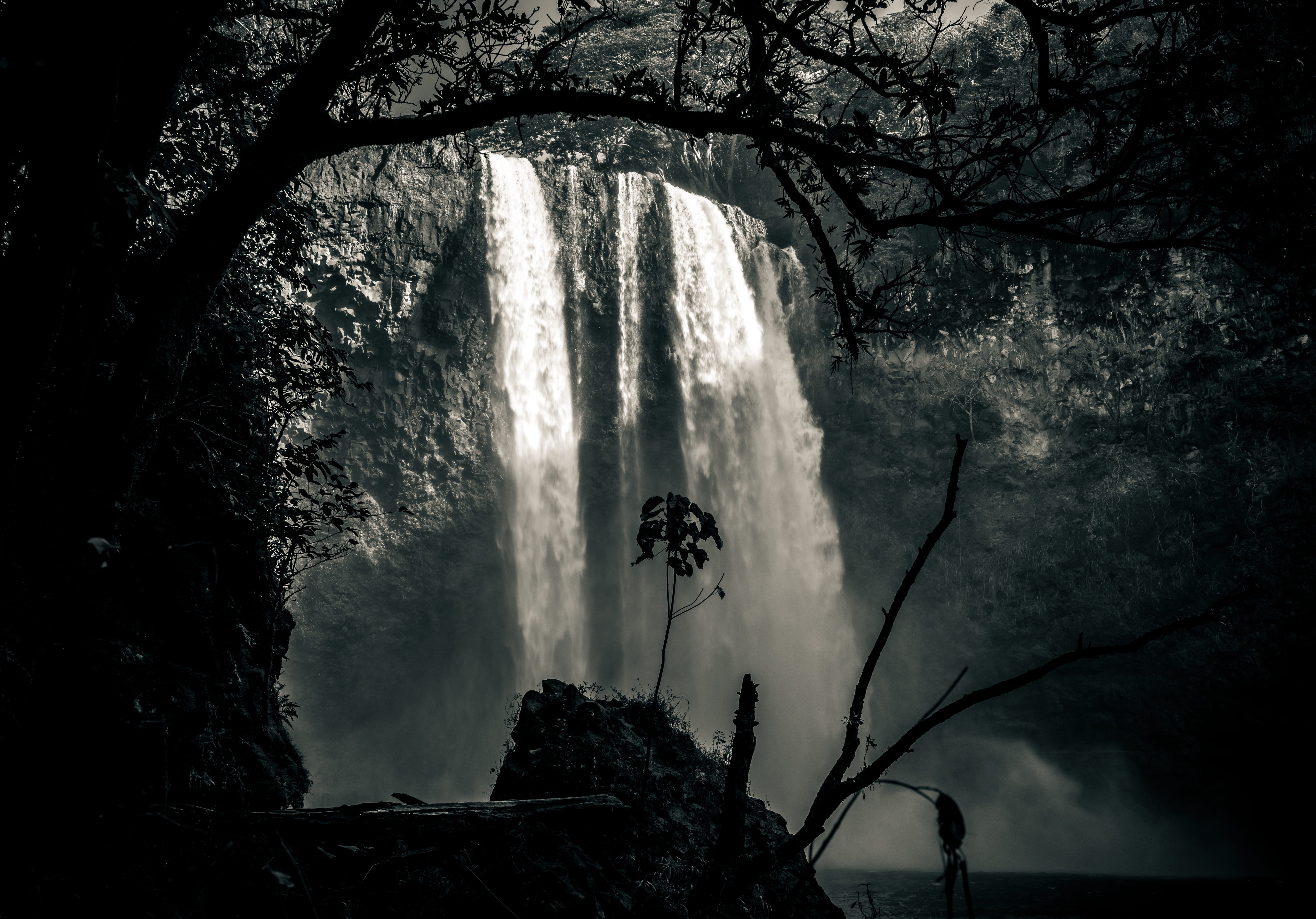 beauty in nature, white, silhouette, power in nature, black, dark, jungle, forest, illegal, falls, river, waterfall, hawaii, united states, rock, satin, HD Wallpaper
