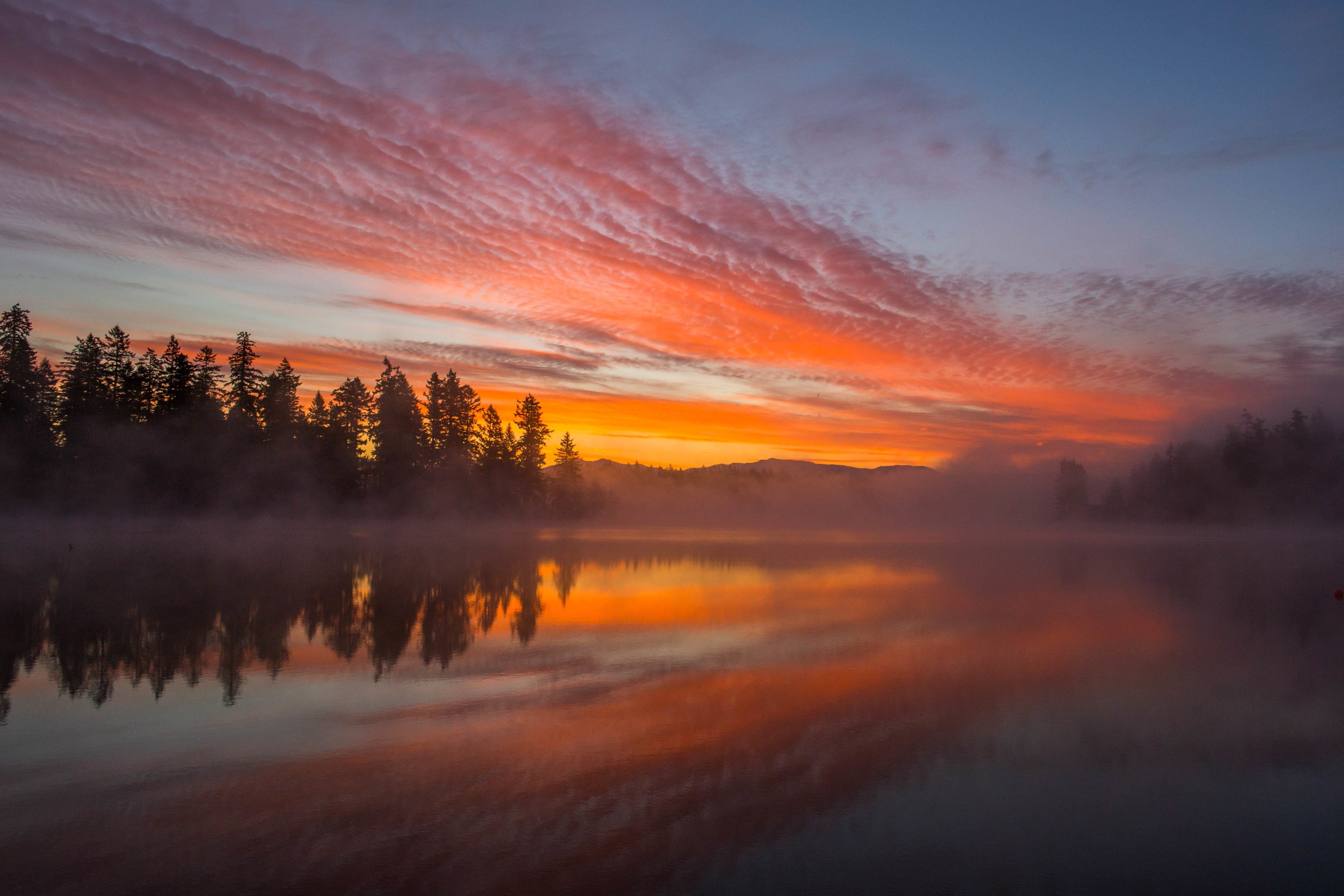 no people, reflection, sunset, water, morning, tranquility, scenics - nature, 4K, fog, beauty in nature, change, reflection lake, idyllic, outdoors, tree, HD Wallpaper