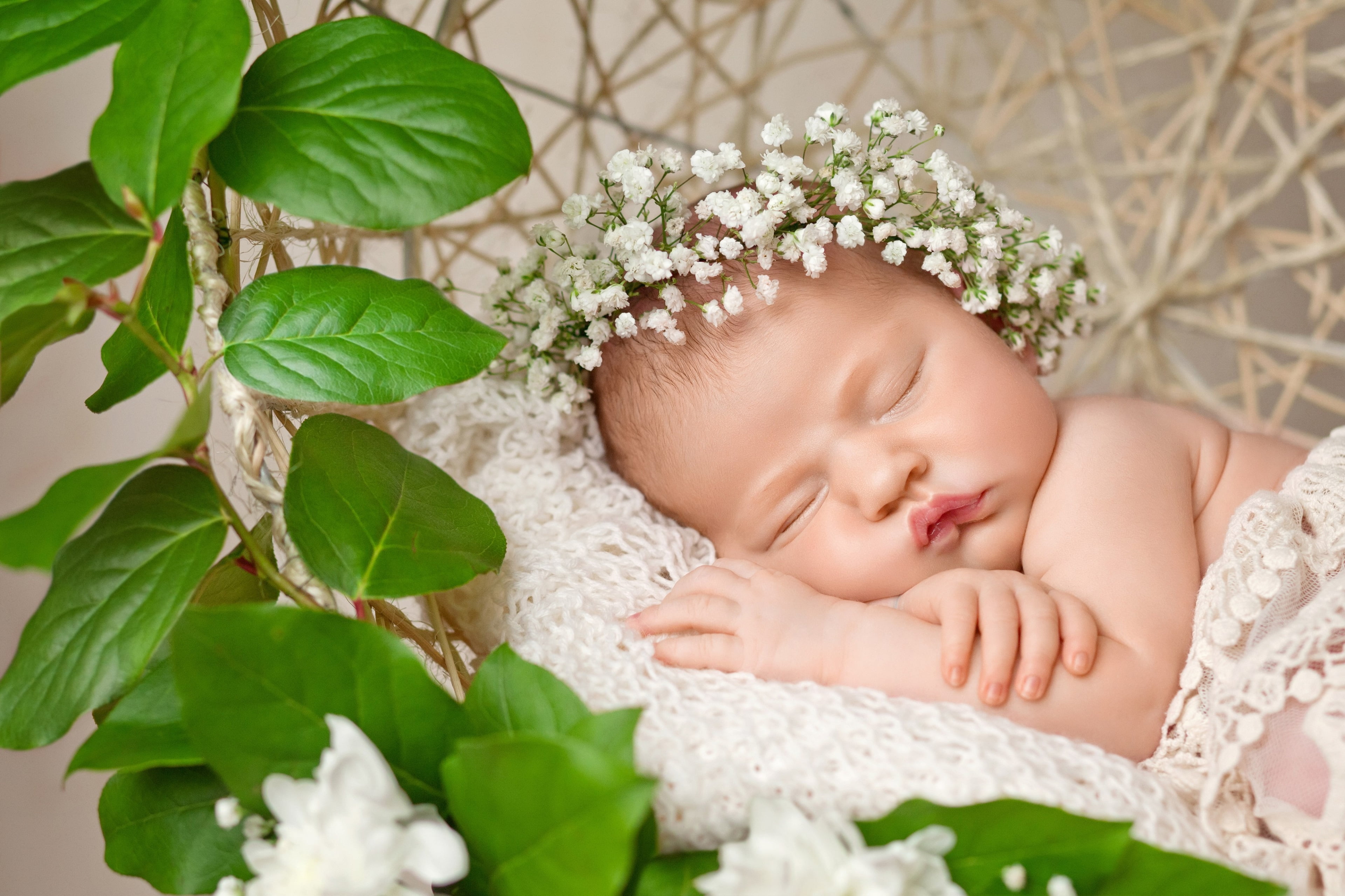 child, babyhood, flower, lying down, portrait, plant, plant part, one person, cute, leaf, eyes closed, childhood, HD Wallpaper