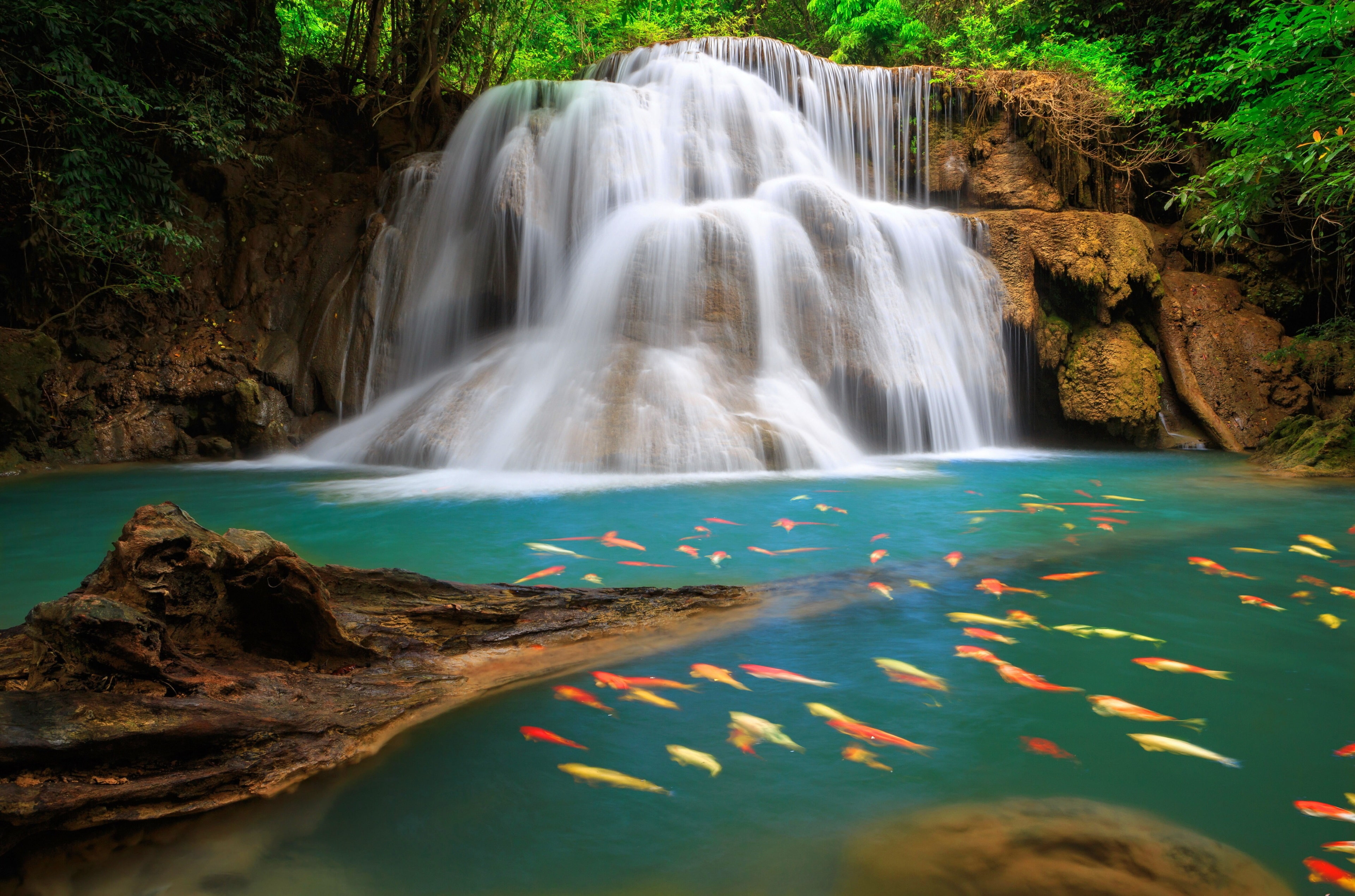 sea, environment, nature, no people, waterfall, long exposure, land, rainforest, scenics - nature, rock - object, solid, plant, blurred motion, forest, HD Wallpaper