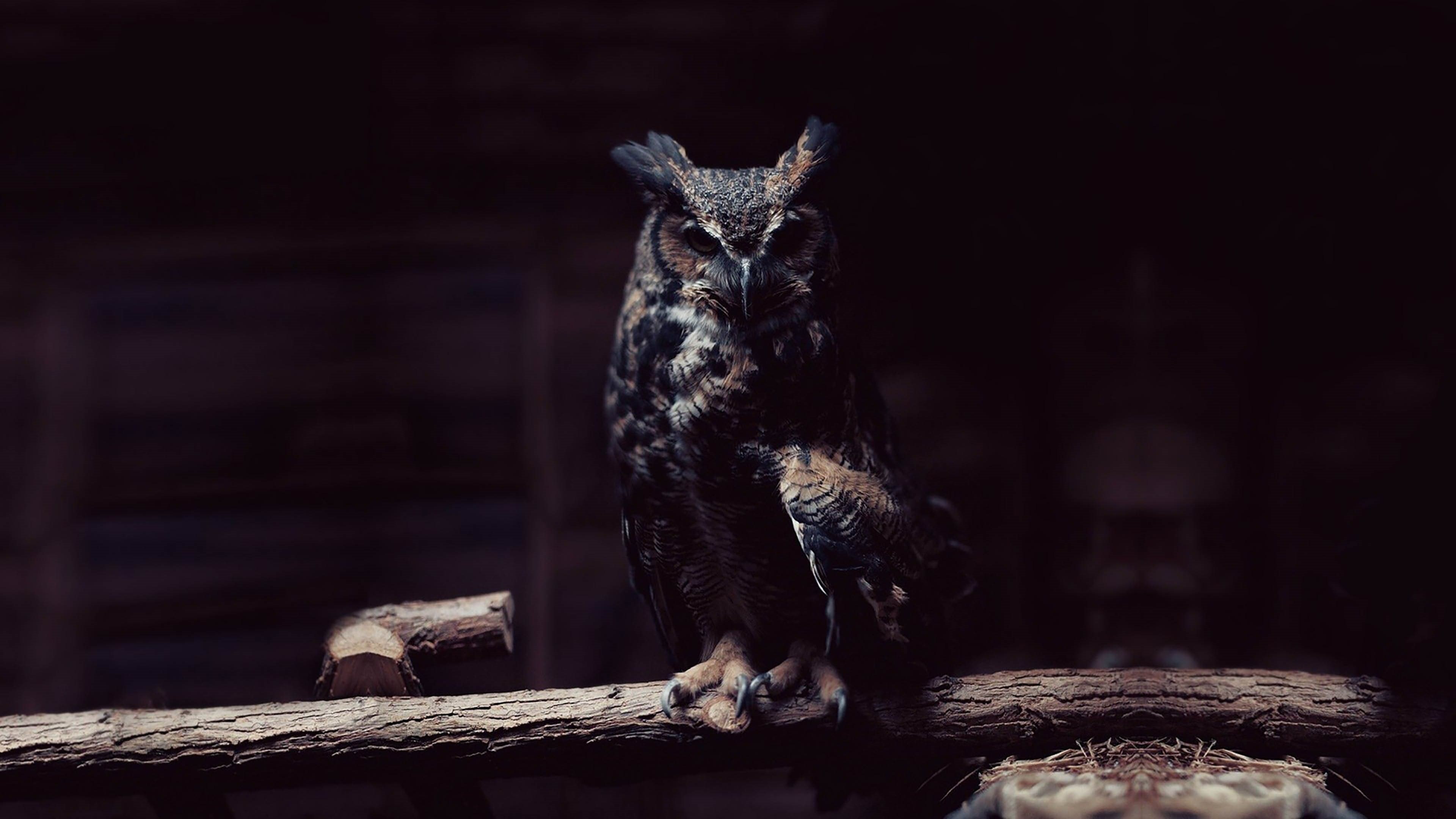 4K, 4k best  for desktop background, HD Wallpaper
