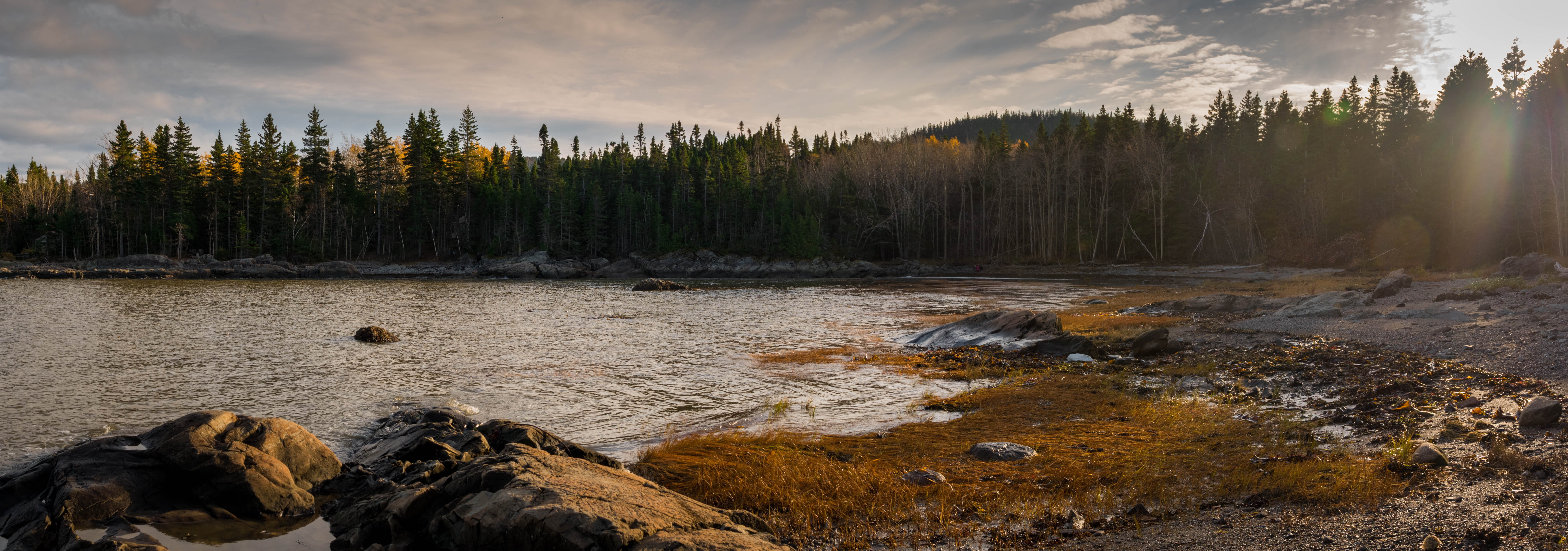 vegetation, parc du bic, scenics - nature, outdoors, rimouski, canada, abies, fir, woodland, tree, non-urban scene, solid, rock, nature, water, beauty in nature, HD Wallpaper