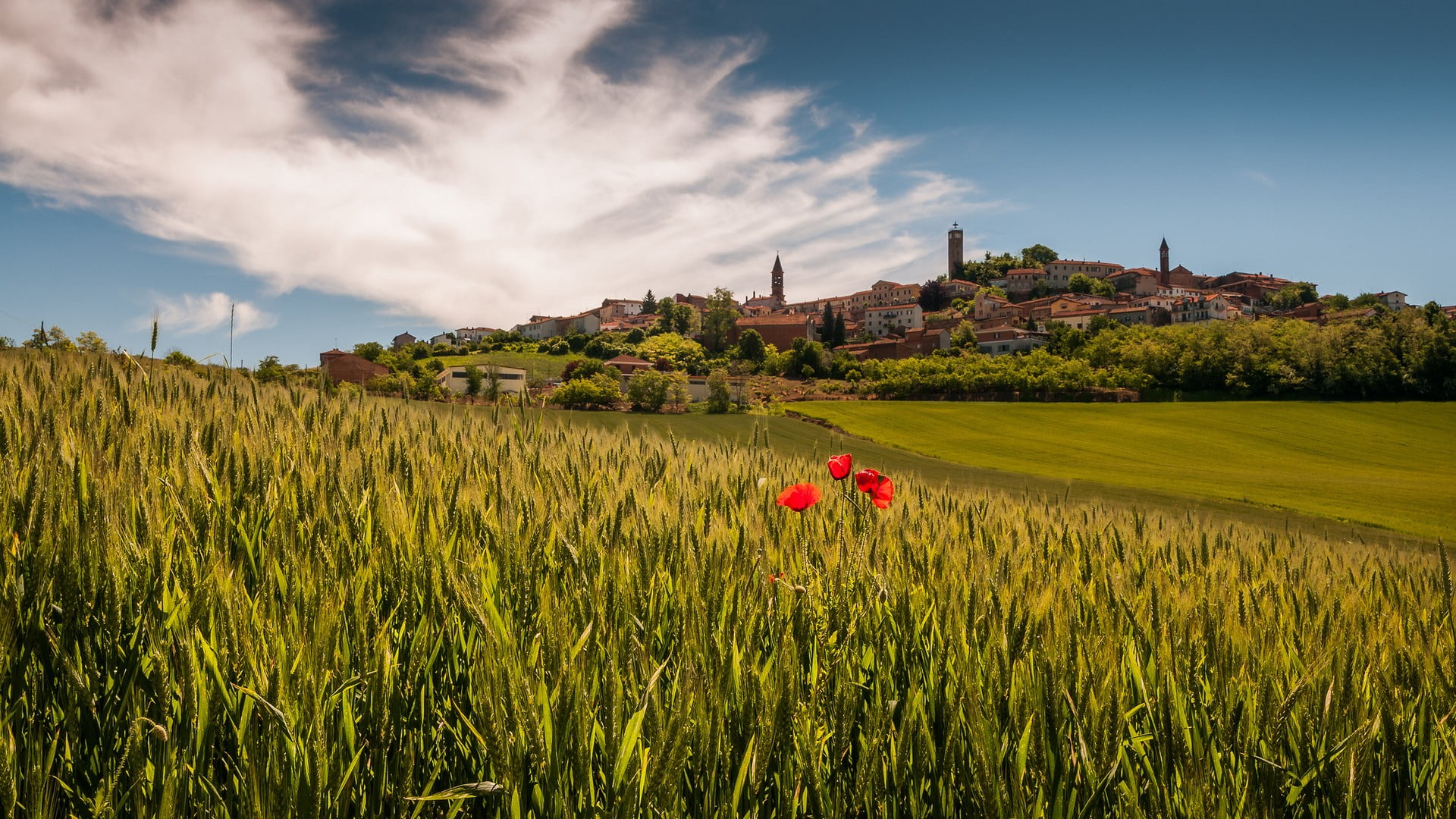 built structure, scenics - nature, crop, town, no people, sky, environment, flowers, 1080P, beauty in nature, Italy, land, plant, nature, Piemont, green color, HD Wallpaper