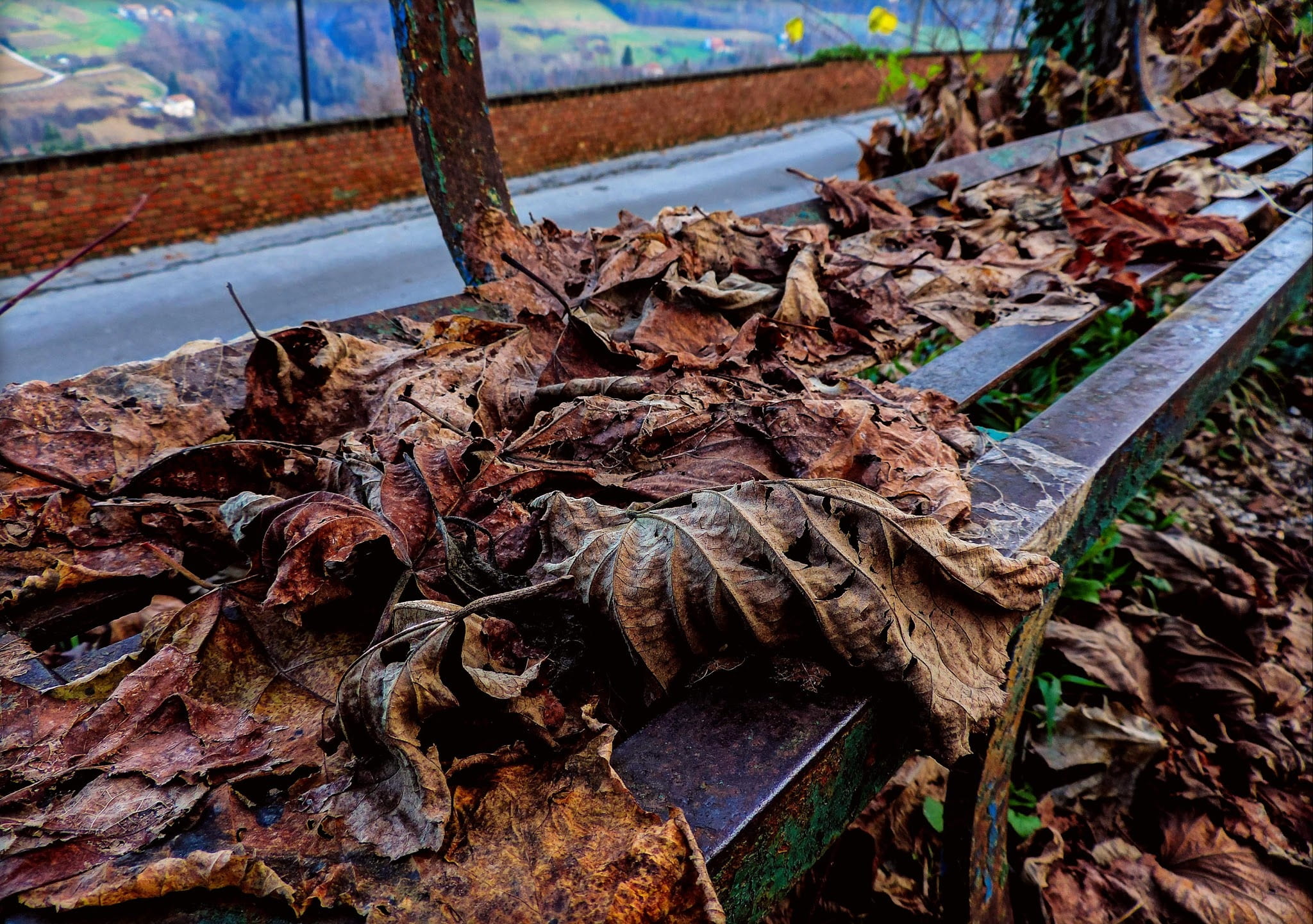 1080P, no people, falling, leaves, environment, dried, piemonte, bark, change, tree, wood, bench, outdoors, brown, field, high angle view, trunk, HD Wallpaper