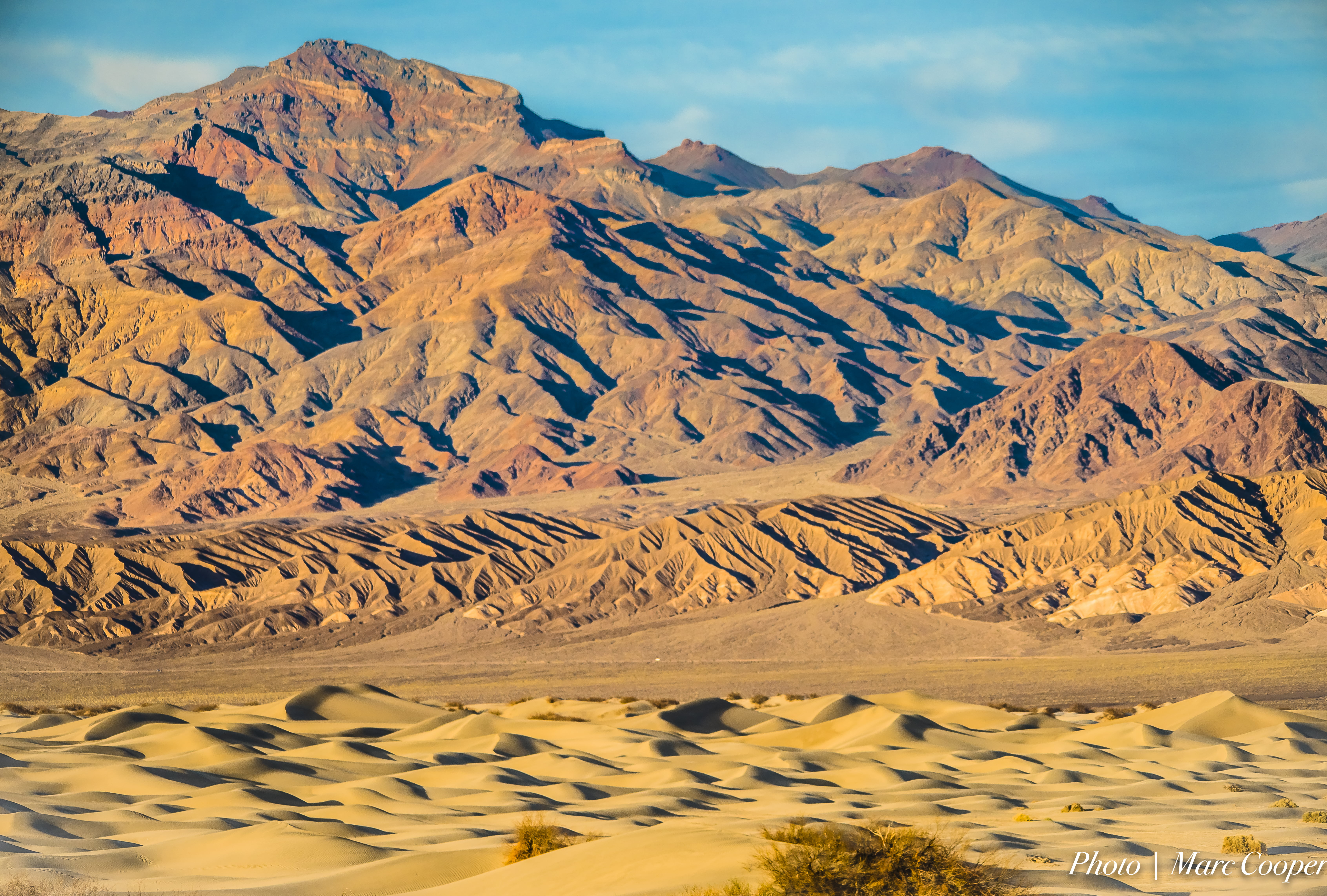 photo, sand dunes, wildflowers, scenery, snow, mountain, lightroom, mojave  california, sand Dune, sigma, scenics, desert, marc cooper, brown, nature, hdr, HD Wallpaper