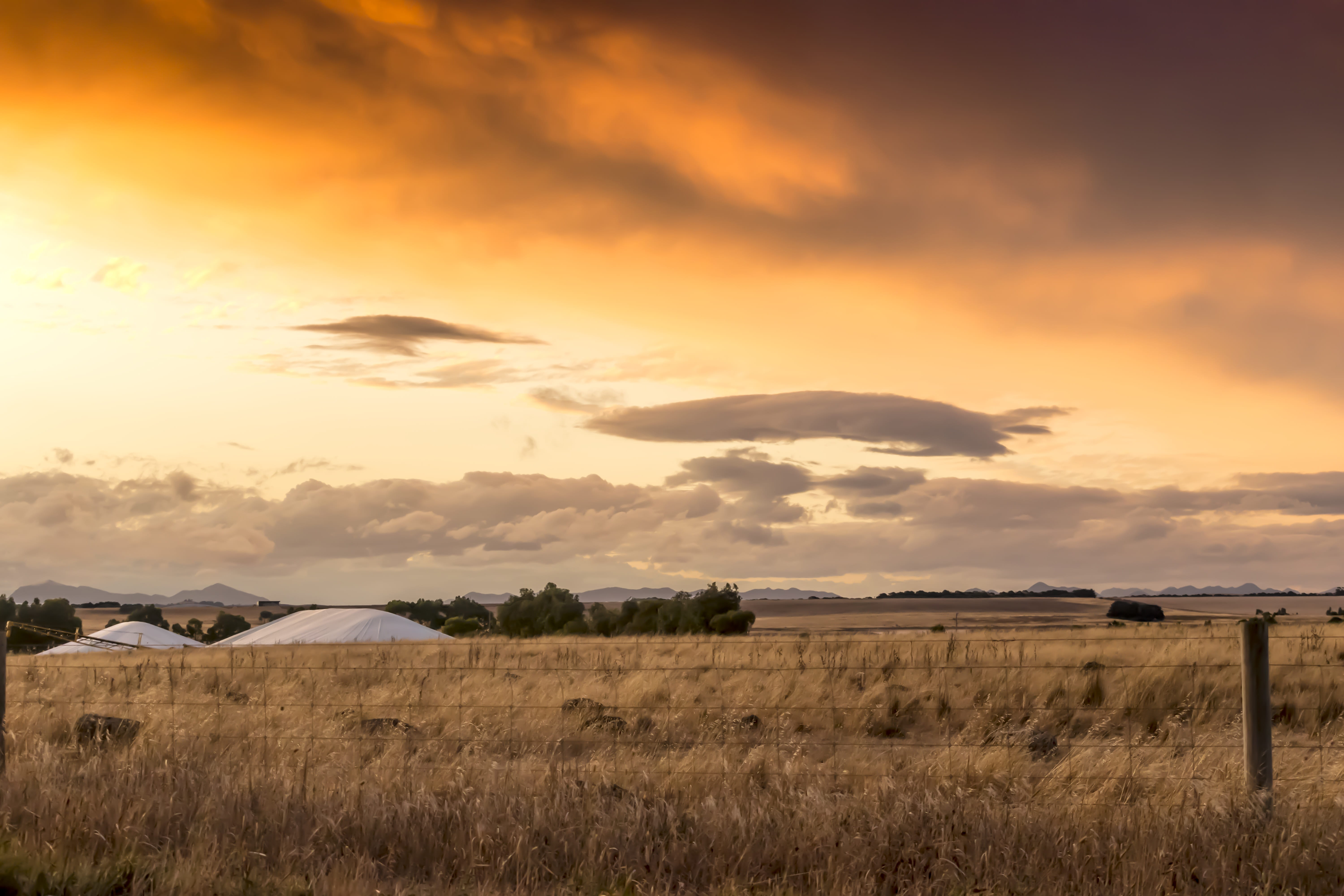 cloud - sky, color, grass, sunset, wheatbelt, land, field, landscape, outdoor, environment, Agriculture, orange color, Farm, countryside, dramatic, Paddock, HD Wallpaper