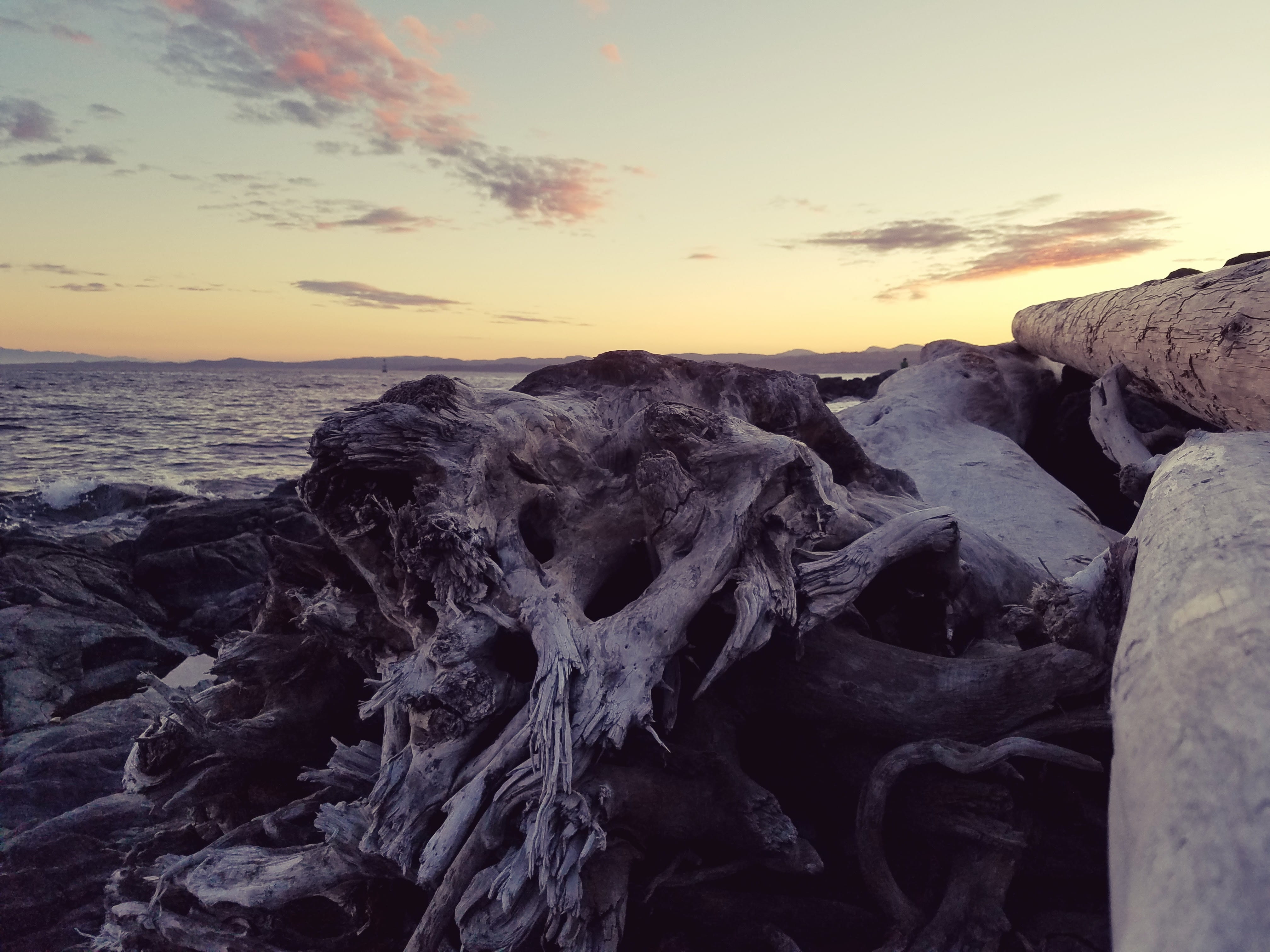 dusk, tranquil scene, no people, sunset, sea, canada, outdoors, tranquility, rock, beach, 4K, orange color, driftwood, horizon over water, victoria, beauty in nature, HD Wallpaper