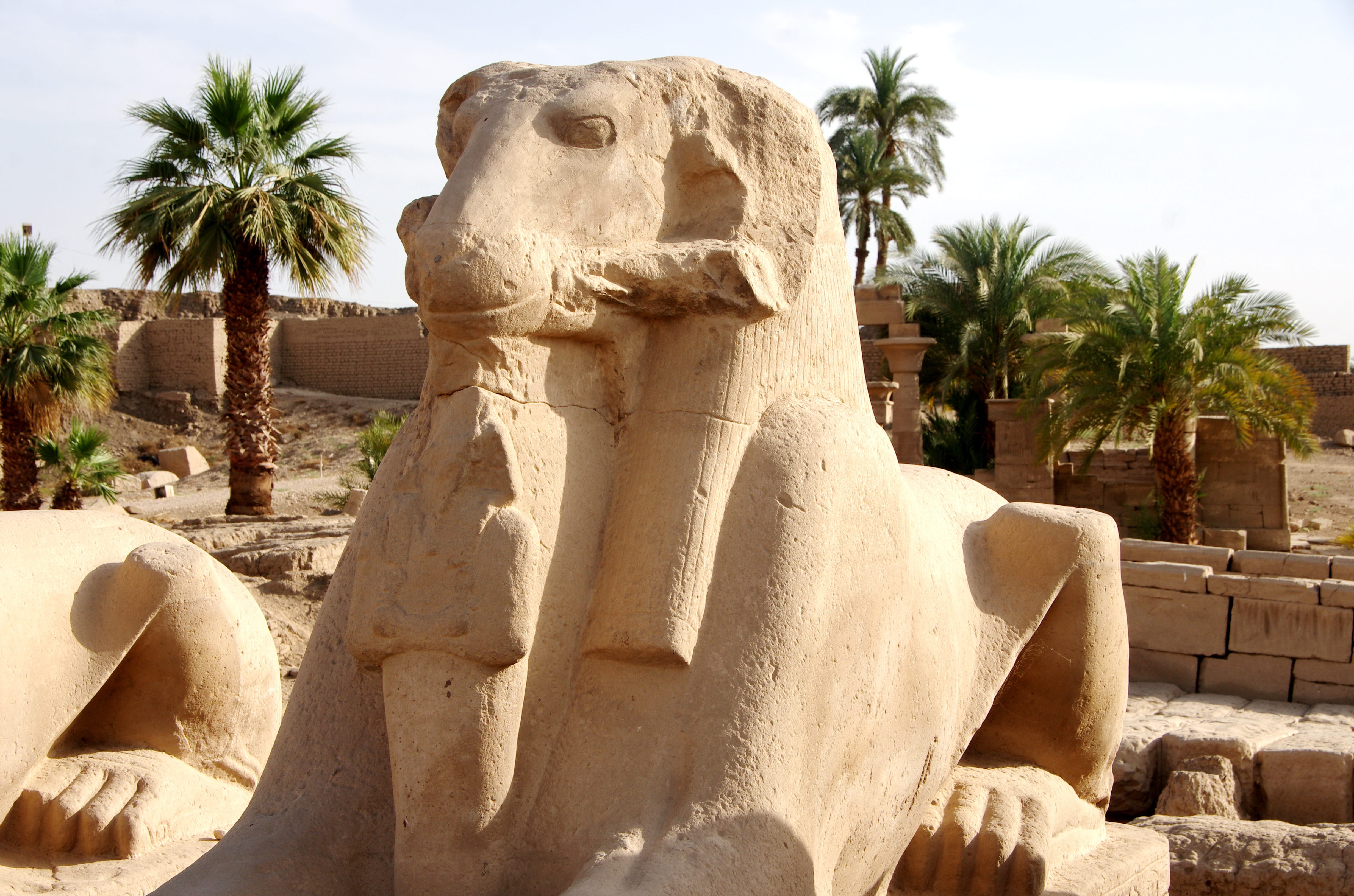 palm tree, representation, sculpture, outdoors, sunlight, no people, ancient civilization, luxor, temple, tourism, egypt, tree, travel destinations, archaeology, HD Wallpaper