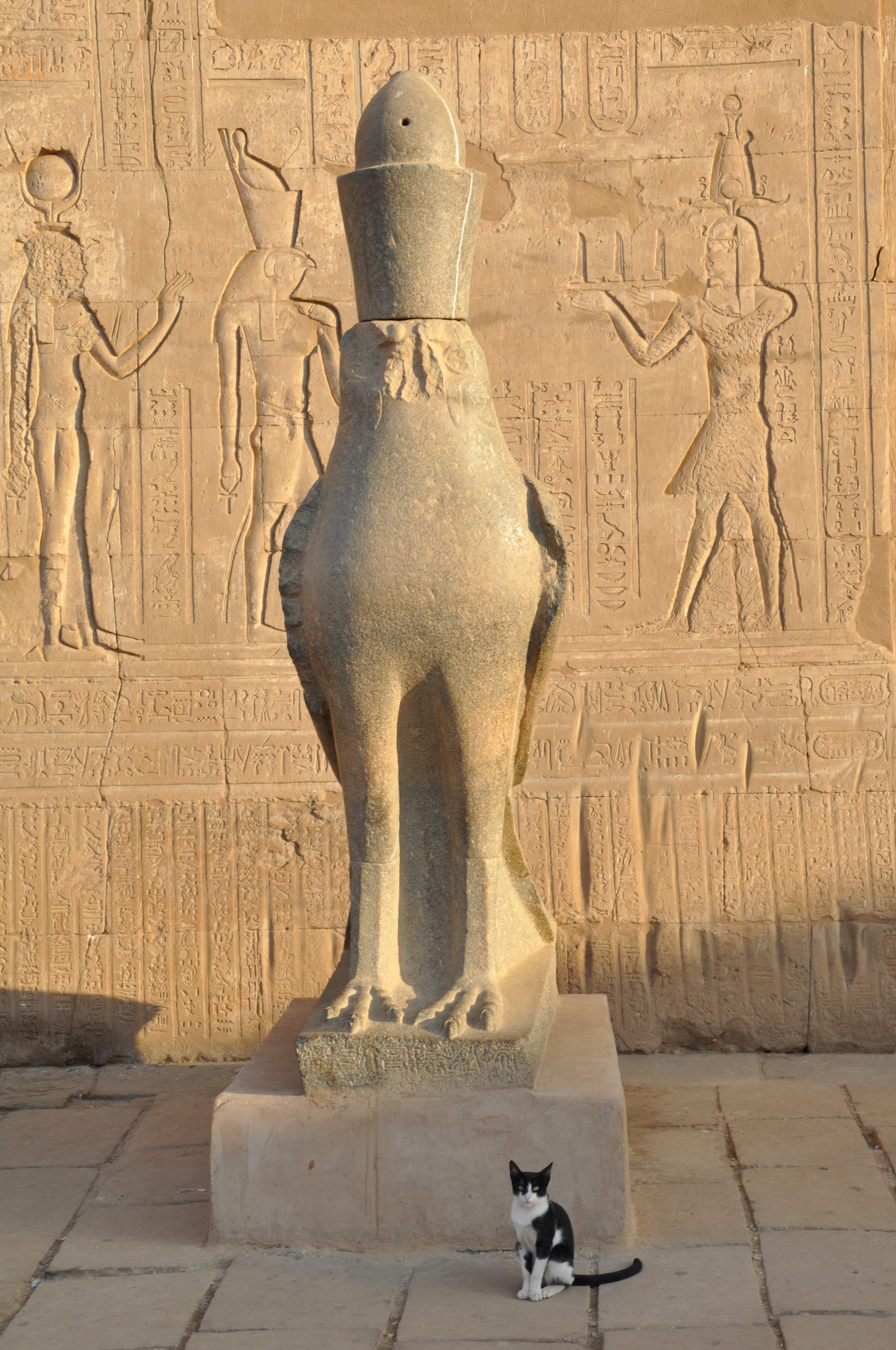 built structure, craft, Pharaoh, the past, pierre, ancient civilization, egyptian temple, travel, Egypt, columns, ancient, no people, mammal, sculpture, Phone HD Wallpaper