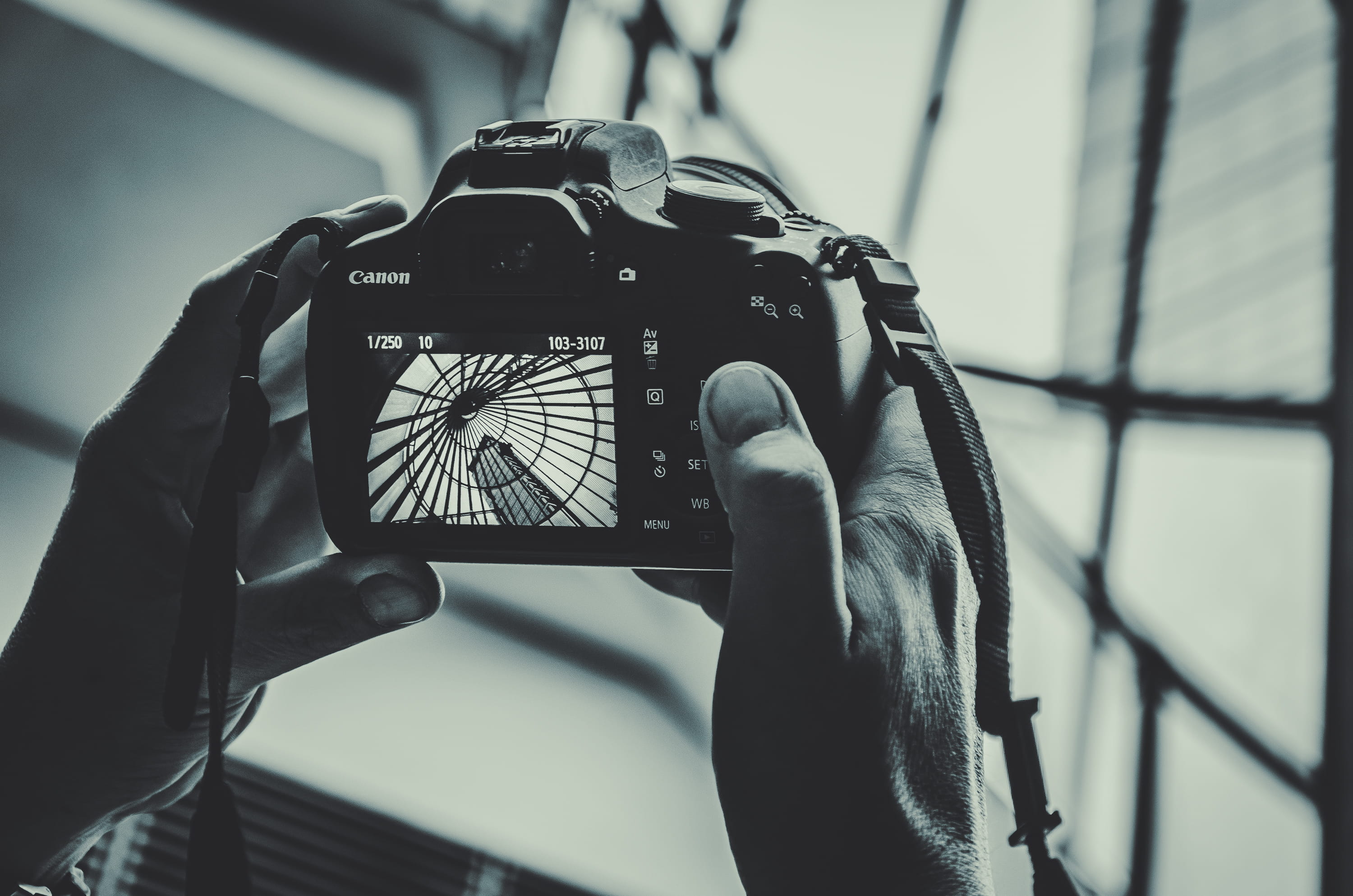 one person, focus on foreground, blackwhite, holding, digital camera, black, black and white, photographer, hand, human body part, photography themes, 2K, HD Wallpaper