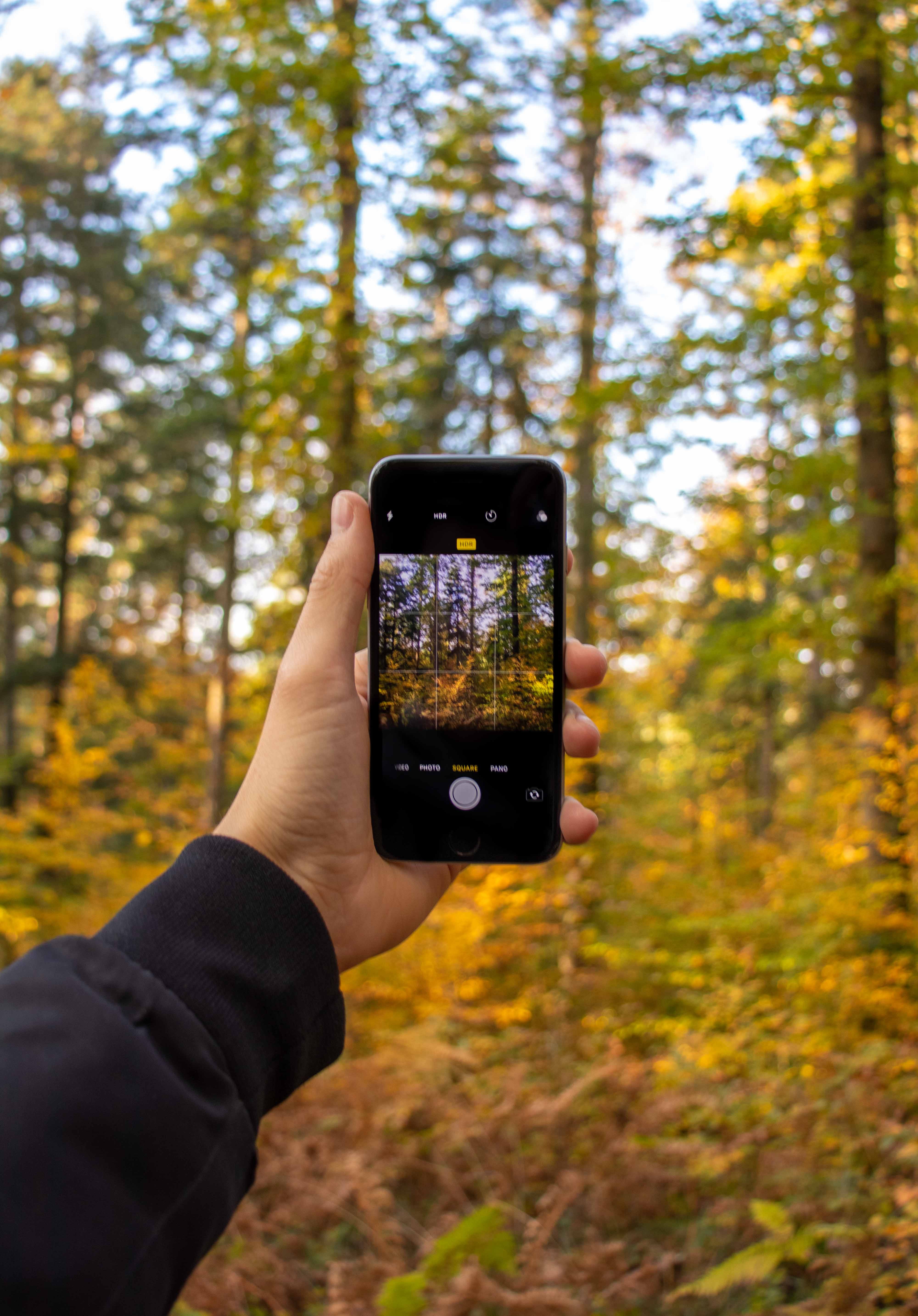 trees, outdoors, pictures, yellow, f1.8, canon, finger, one person, style, wooden, tumblr, woodland, green, mobile phone, screen, human body part, tree, Phone HD Wallpaper