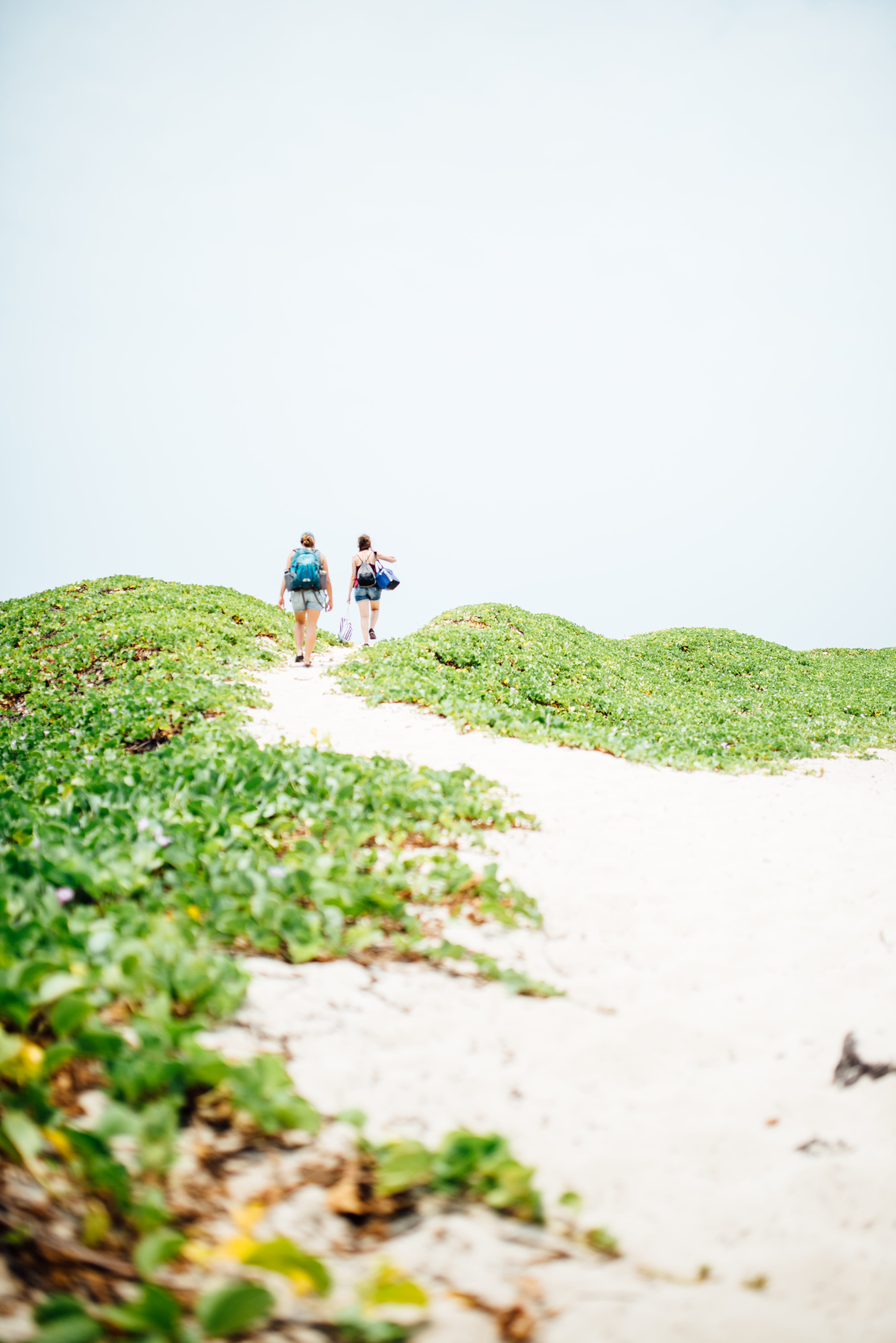 explore, two people, day, walking, women, field, trail, clear sky, nature, land, growth, slope, outdoors, love, green, real people, countryside, f1.8, people, Phone HD Wallpaper