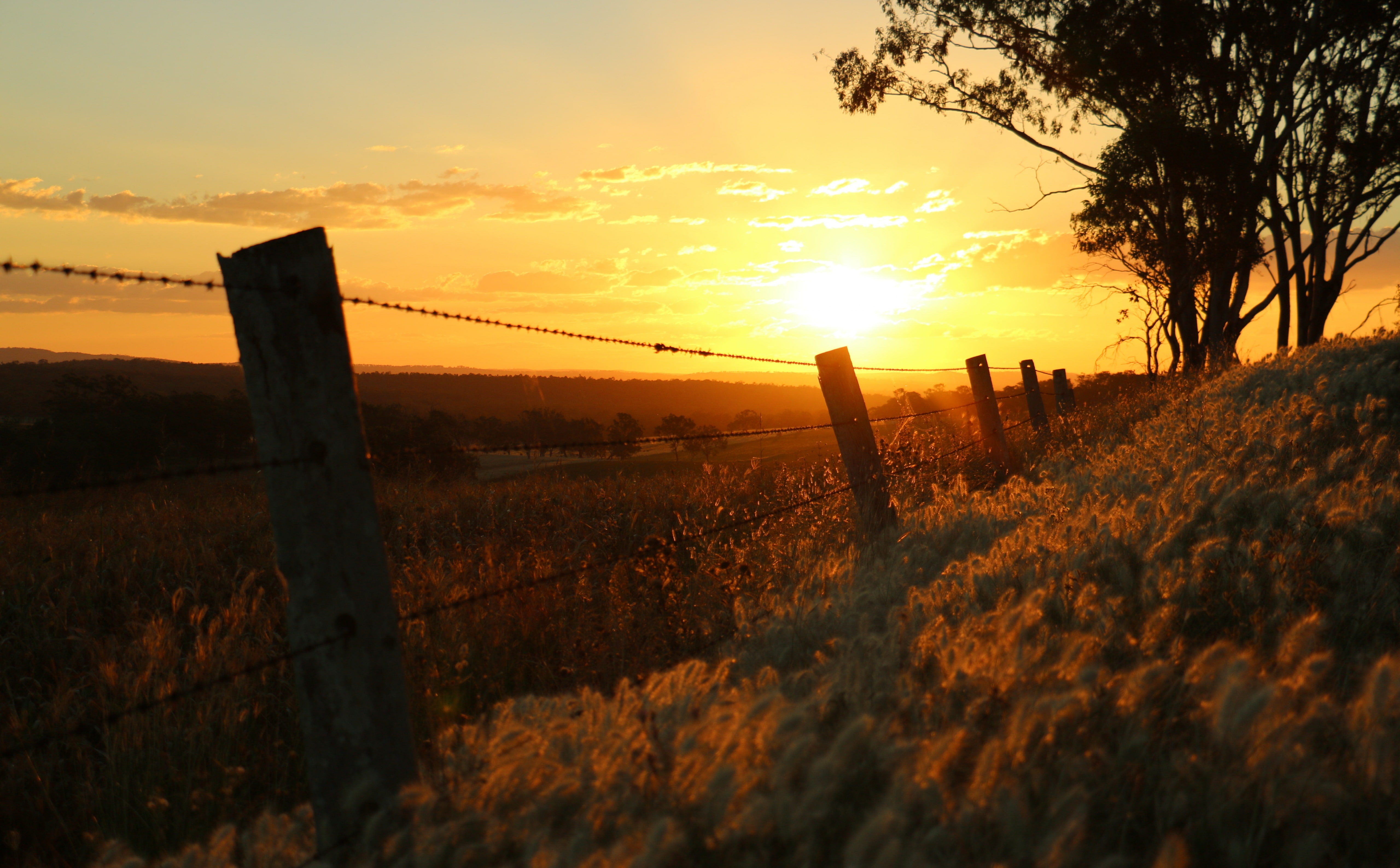 security, beauty in nature, tranquility, gum tree, qld, boundary, sunset, land, mountains, barbed wire, tranquil scene, field, scenics - nature, 5K, sky, HD Wallpaper