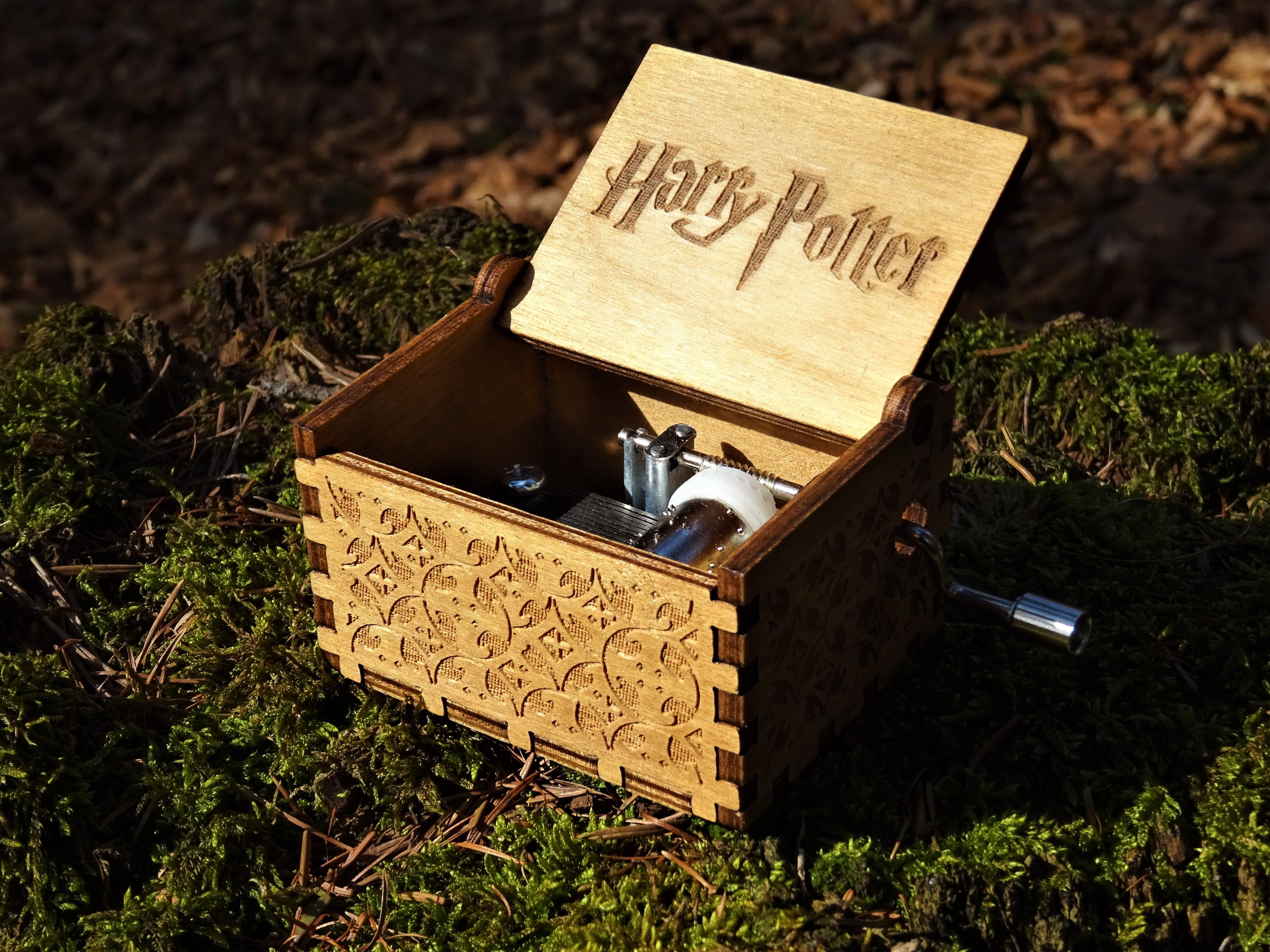 outdoors, sign, container, plant, nature, day, sunlight, communication, land, tree trunk, moss, music spielbox, paper, melody, still life, sun, no people, HD Wallpaper