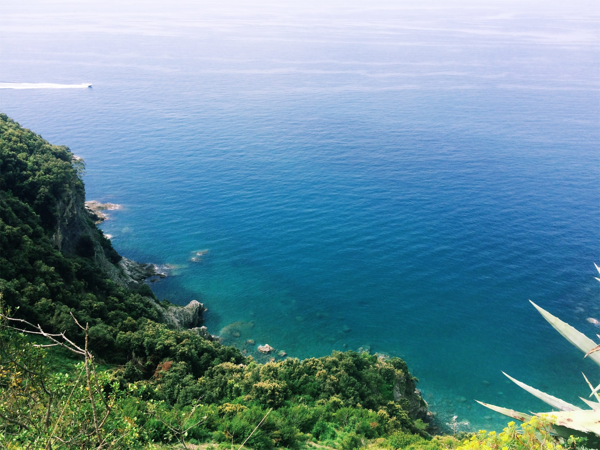 tranquil scene, day, tree, no people, outdoors, ocean, nature, europe, water, italia, growth, hillside, idyllic, plant, beauty in nature, 1080P, cinque terre, HD Wallpaper