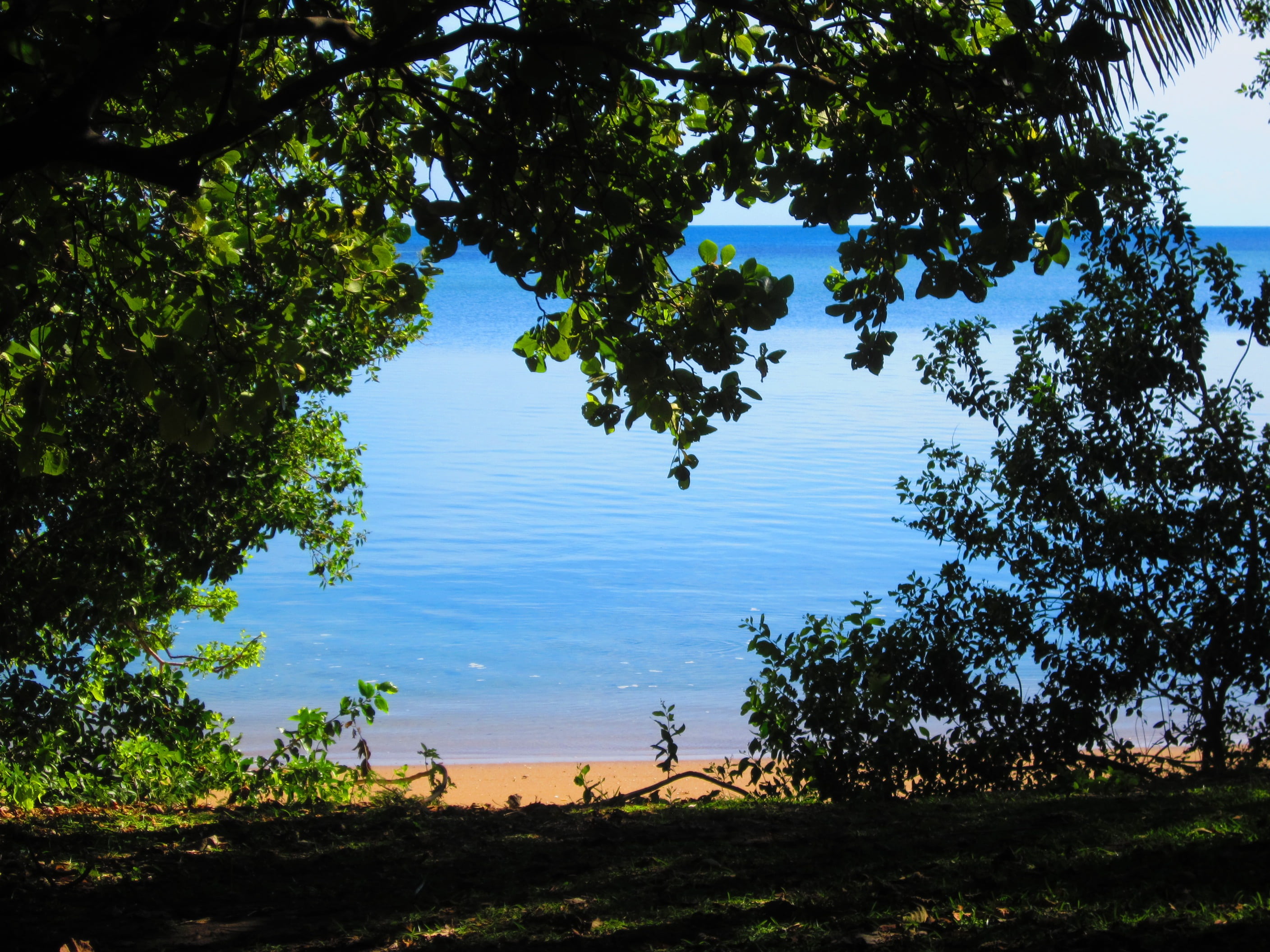 day, blue, lake, tree, outdoors, beauty in nature, tranquil scene, land, non-urban scene, 2K, sunlight, growth, tranquility, atlantic ocean, branch, sky, HD Wallpaper