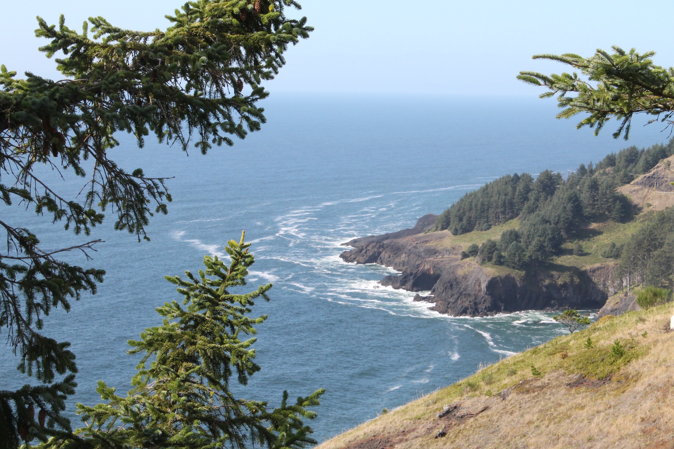 plant, no people, tranquil scene, park, seashore, oceanfront, ocean, sand, scenic, scenics - nature, idyllic, tranquility, travel, coastline, pacific, oregon, HD Wallpaper