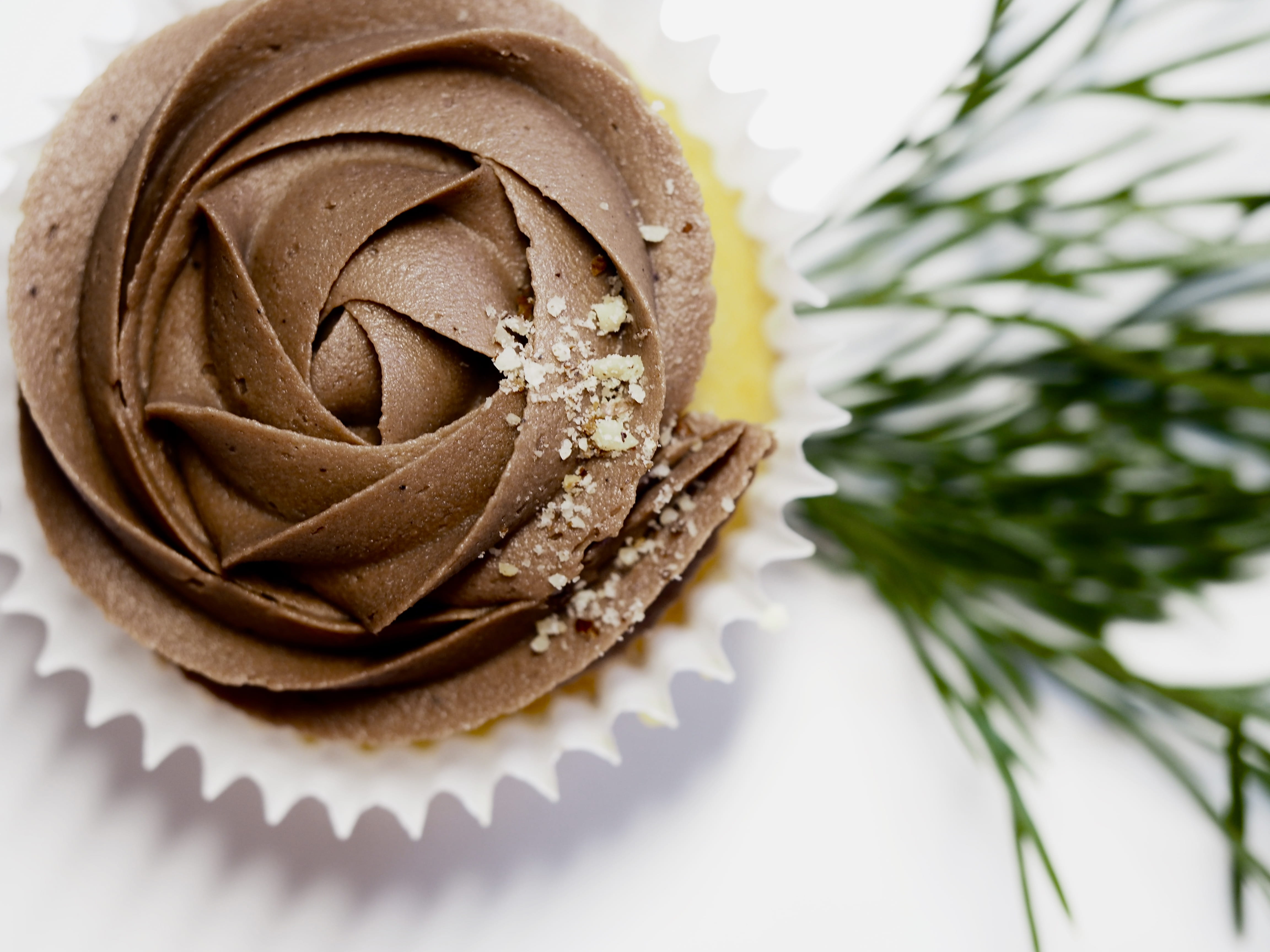party, plant, birthday, sweet, chocolate cake, delicious, close-up, treat, indulgence, high angle view, baked, focus on foreground, icing, still life, temptation, HD Wallpaper